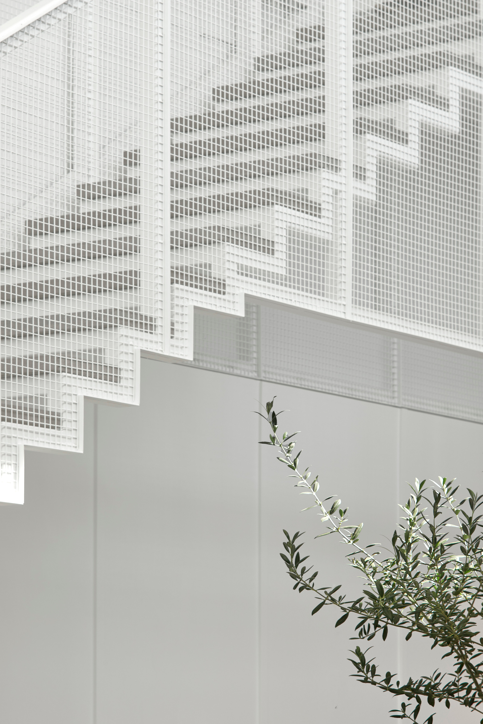 White perforated metal stair enclosure with olive tree branches visible in the foreground
