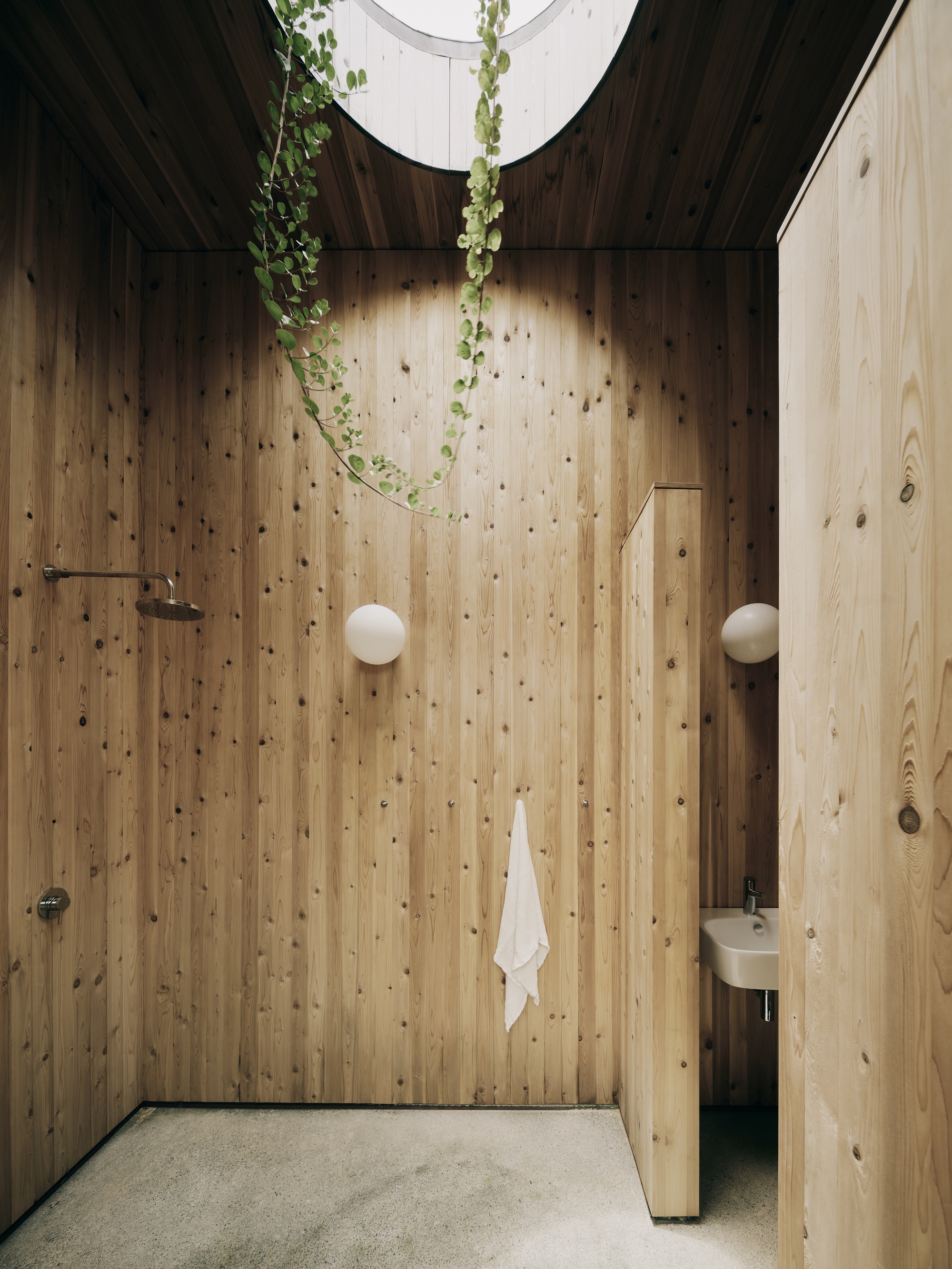 Timber-clad shower enclosure with skylight and trailing plants descending from above