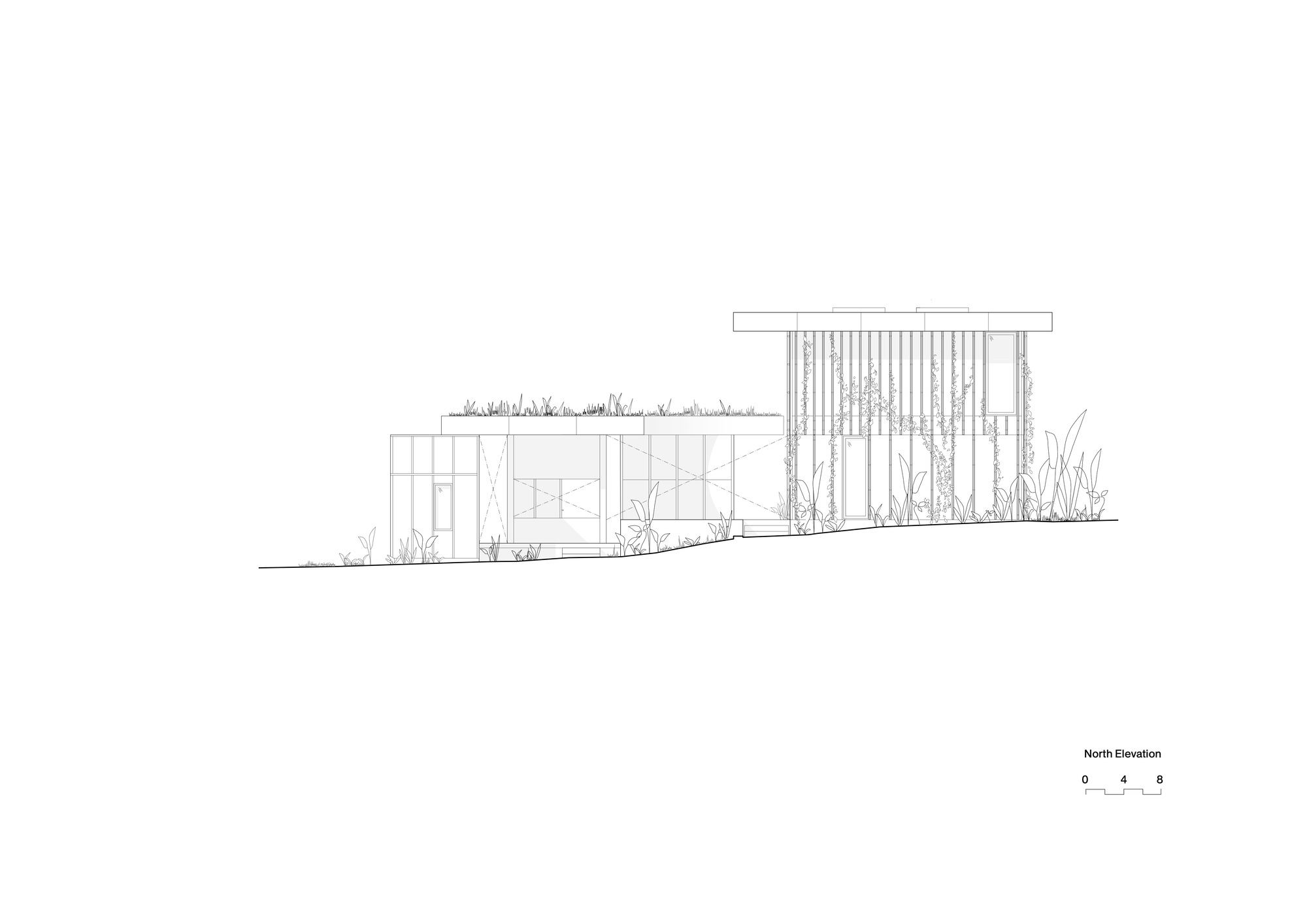North elevation drawing showing the vertical timber screen element and green roof with surrounding vegetation