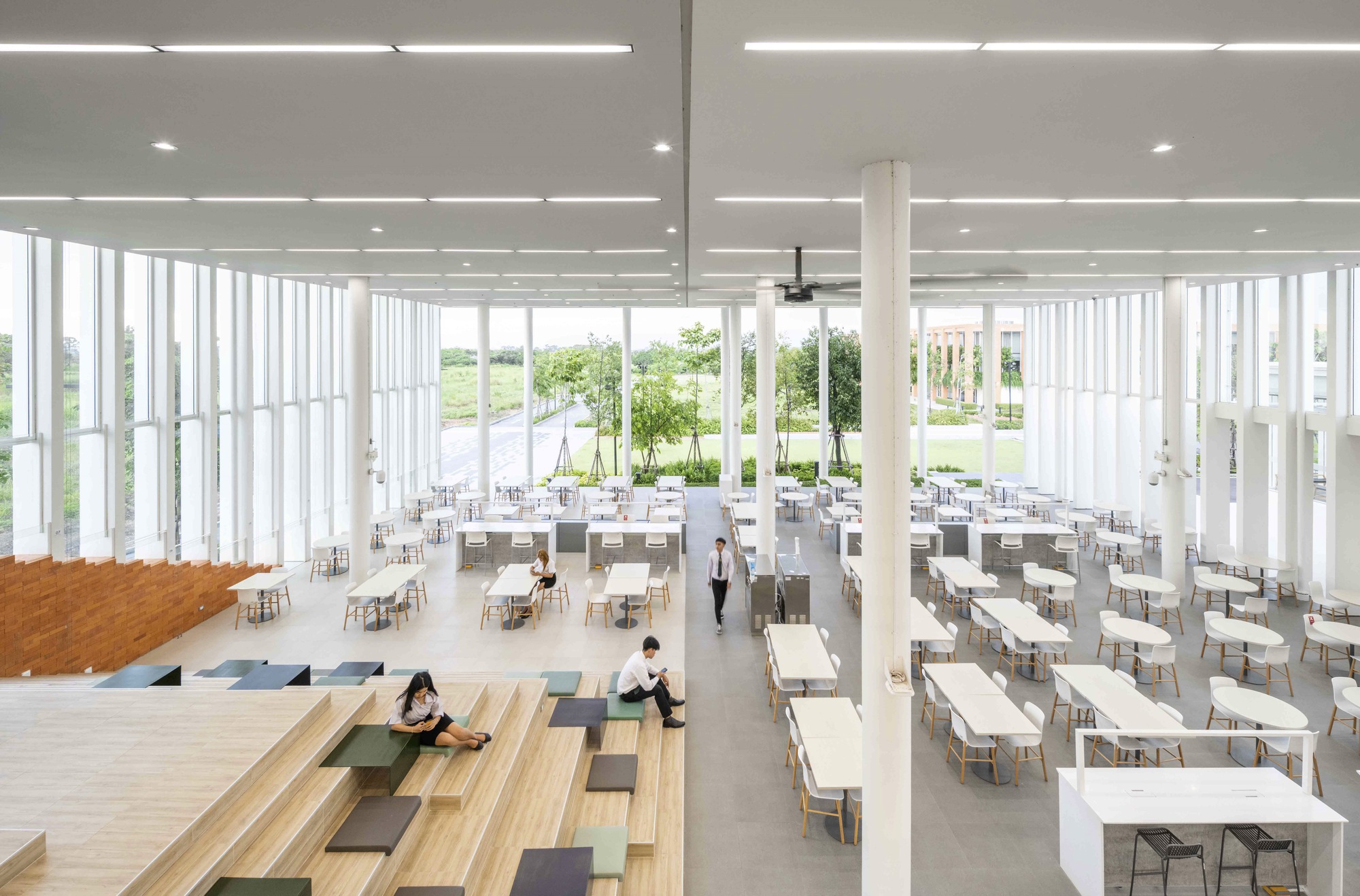Dining hall with tiered timber seating and vertical fin curtain walls under recessed lighting
