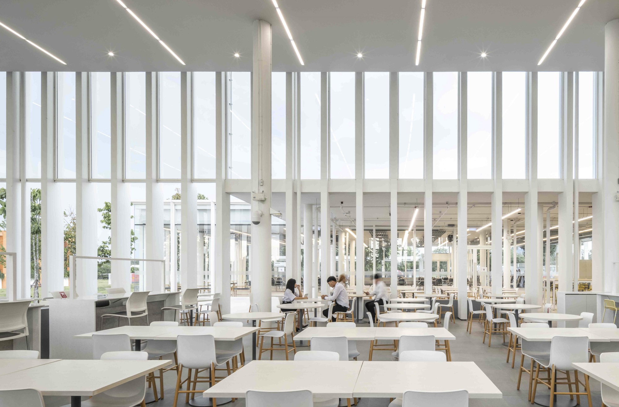 Interior dining hall with vertical white mullions filtering daylight and two students seated at tables
