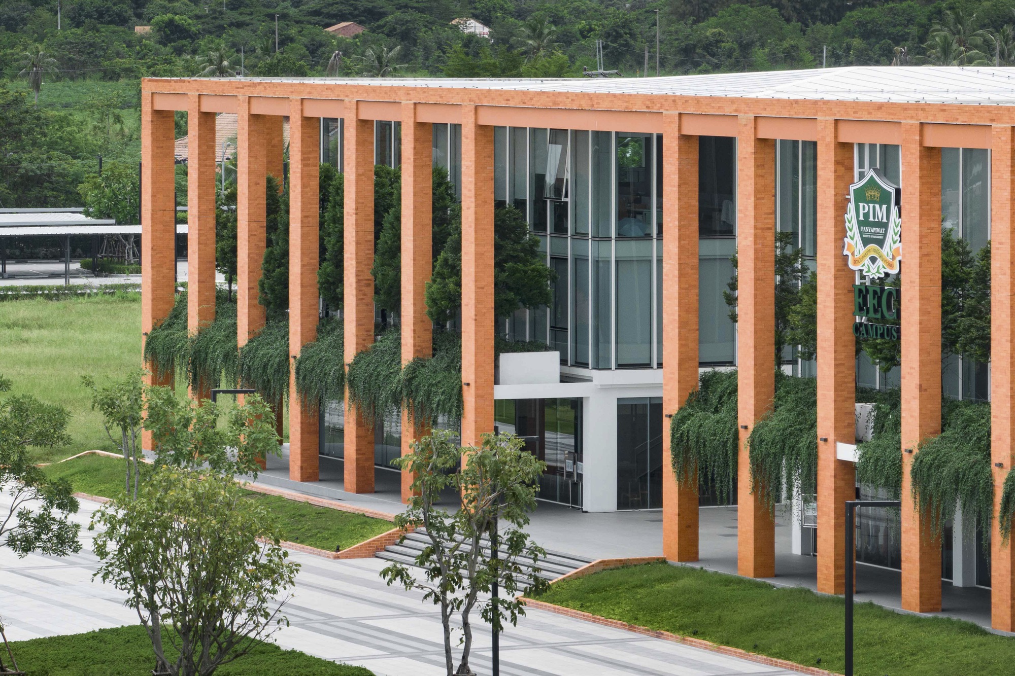 Facade detail with vertical timber fins wrapping glass curtain wall and trailing vines at ground level