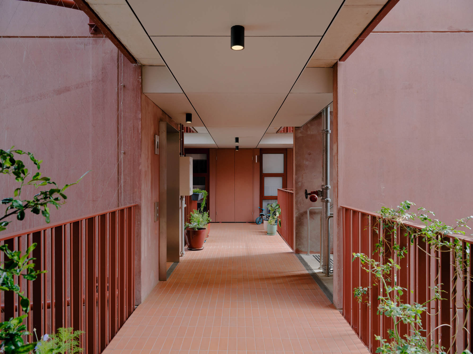 Corridor with pink vertical slat railings and planters on both sides under a recessed panel ceiling