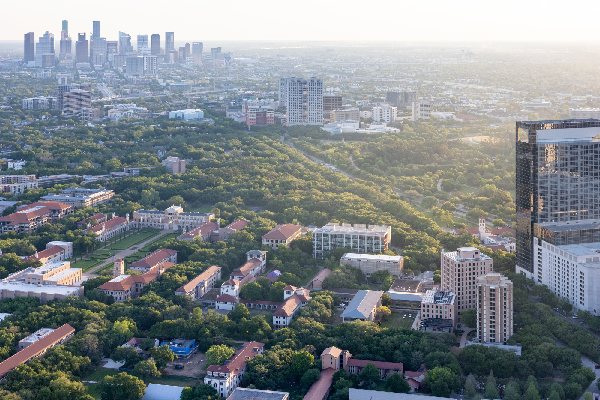 Aerial view of a campus with red-tiled roofs nestled among dense tree canopy with skyline beyond