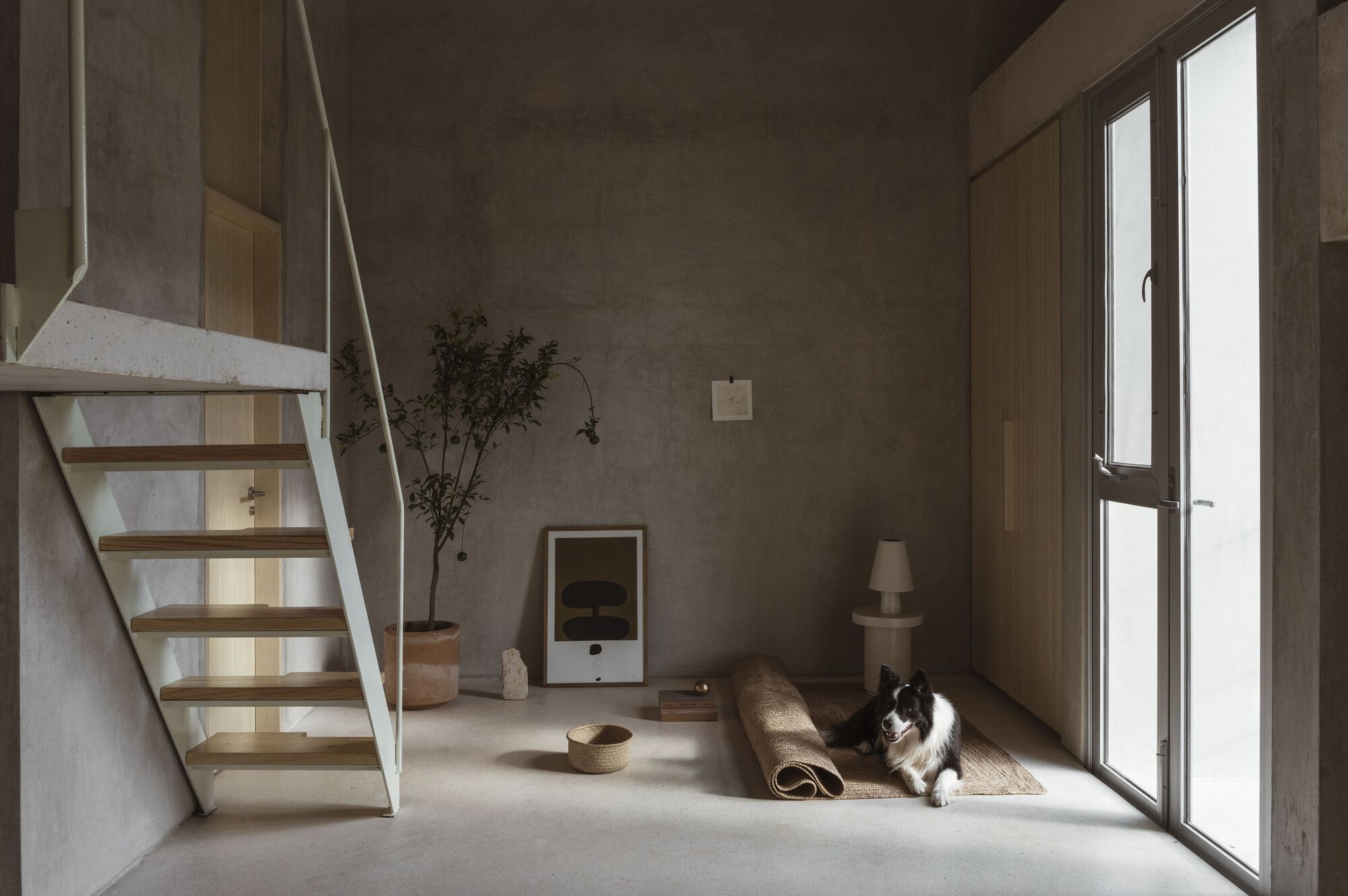 Double-height interior with concrete staircase, plywood shelving, and a cat resting in afternoon sunlight