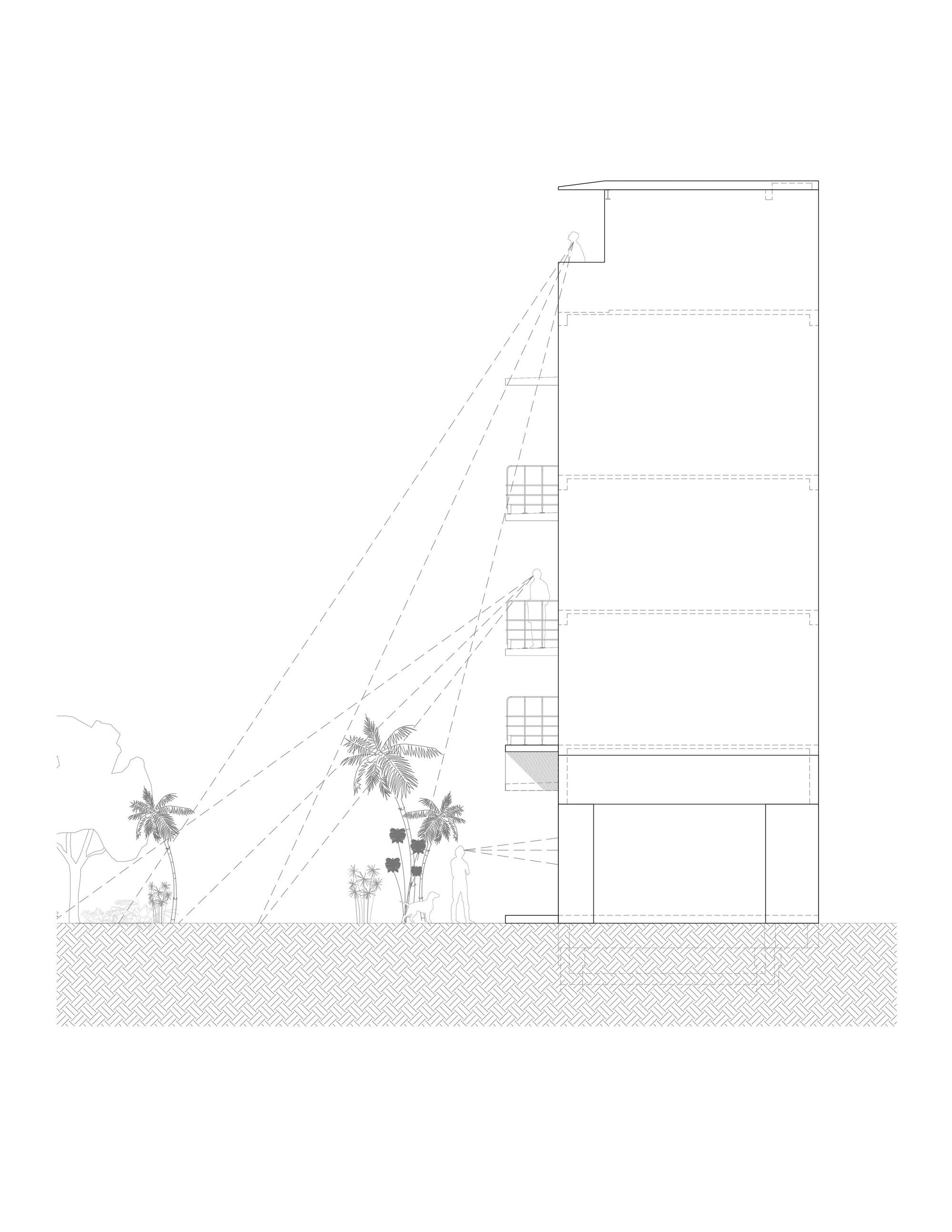 Section drawing showing the building profile with palm trees and diagonal structural cables