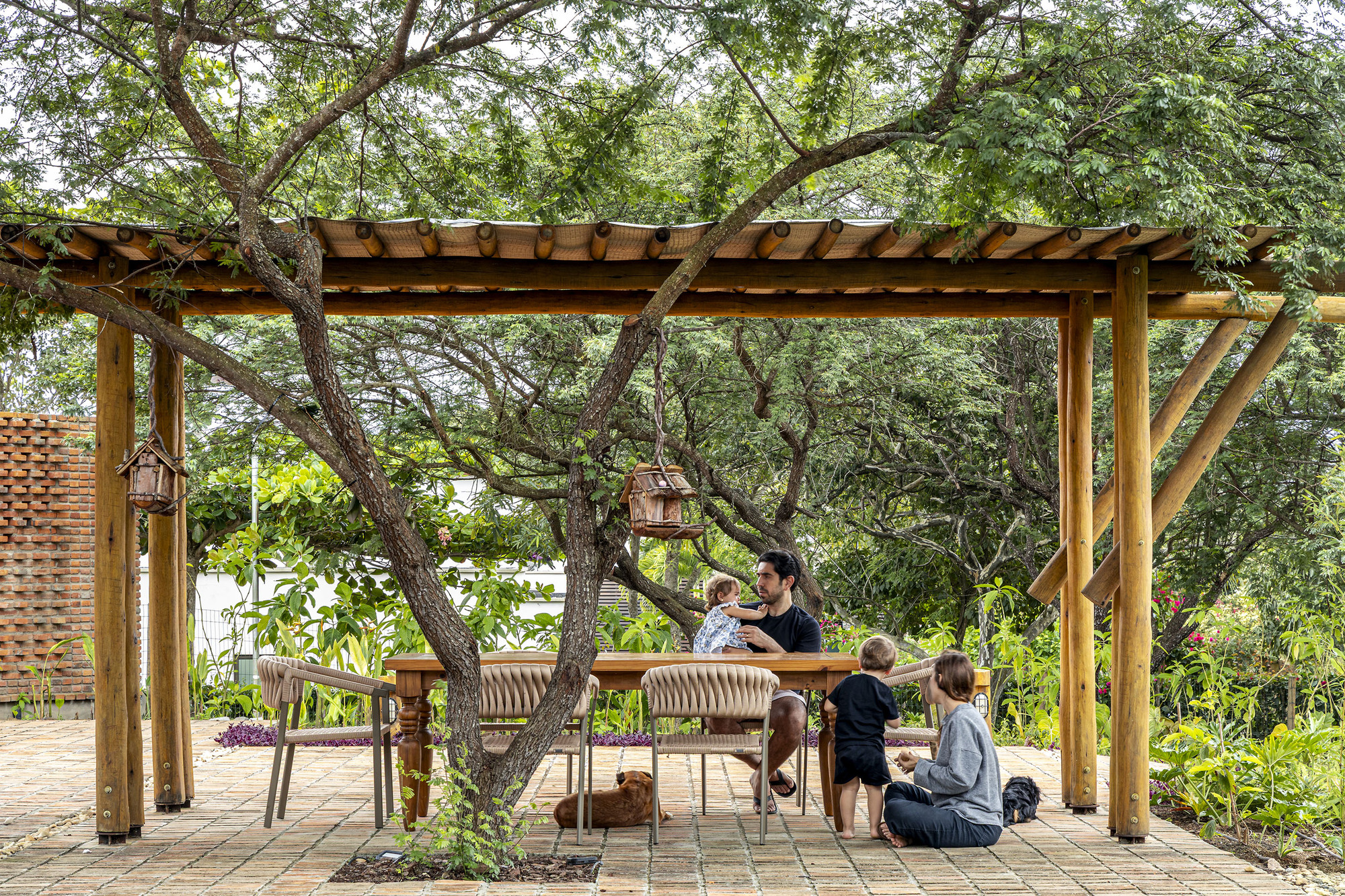 Timber pergola with exposed rafters sheltering a dining table and benches beneath mature trees