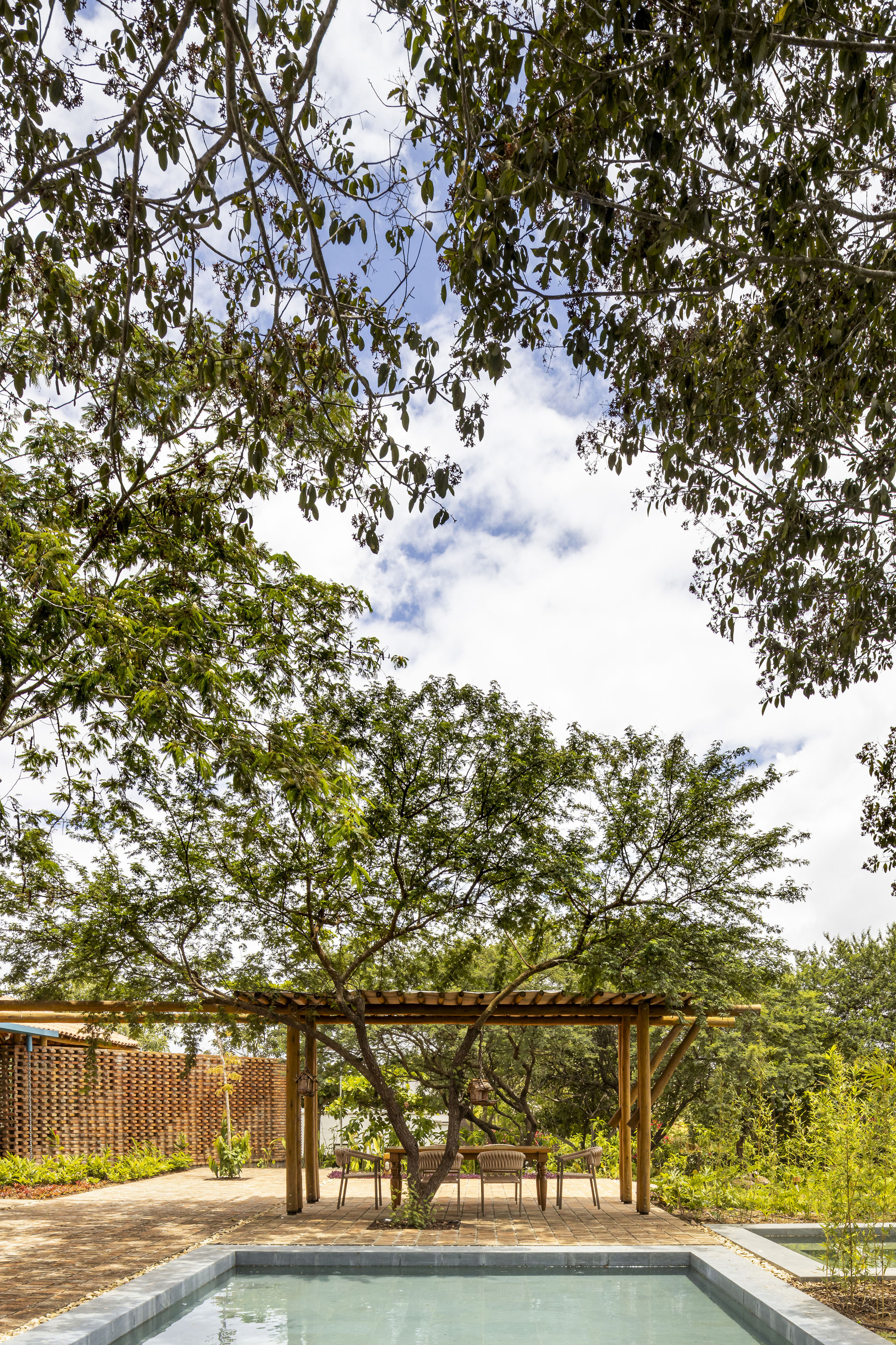 Timber pergola framing a preserved tree above a brick paver terrace beside a pool