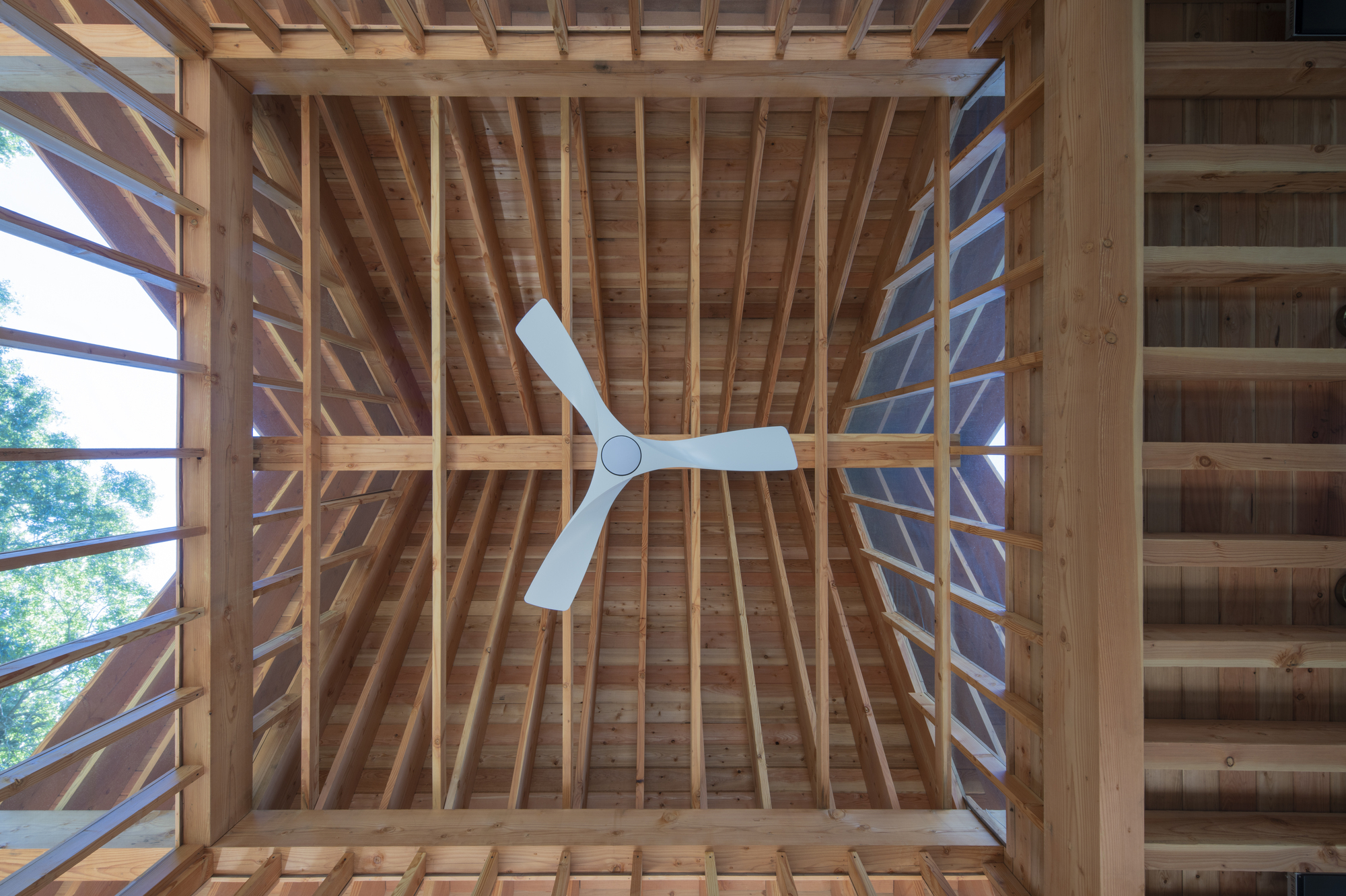 Looking up into exposed timber roof framing with ceiling fan and clerestory windows