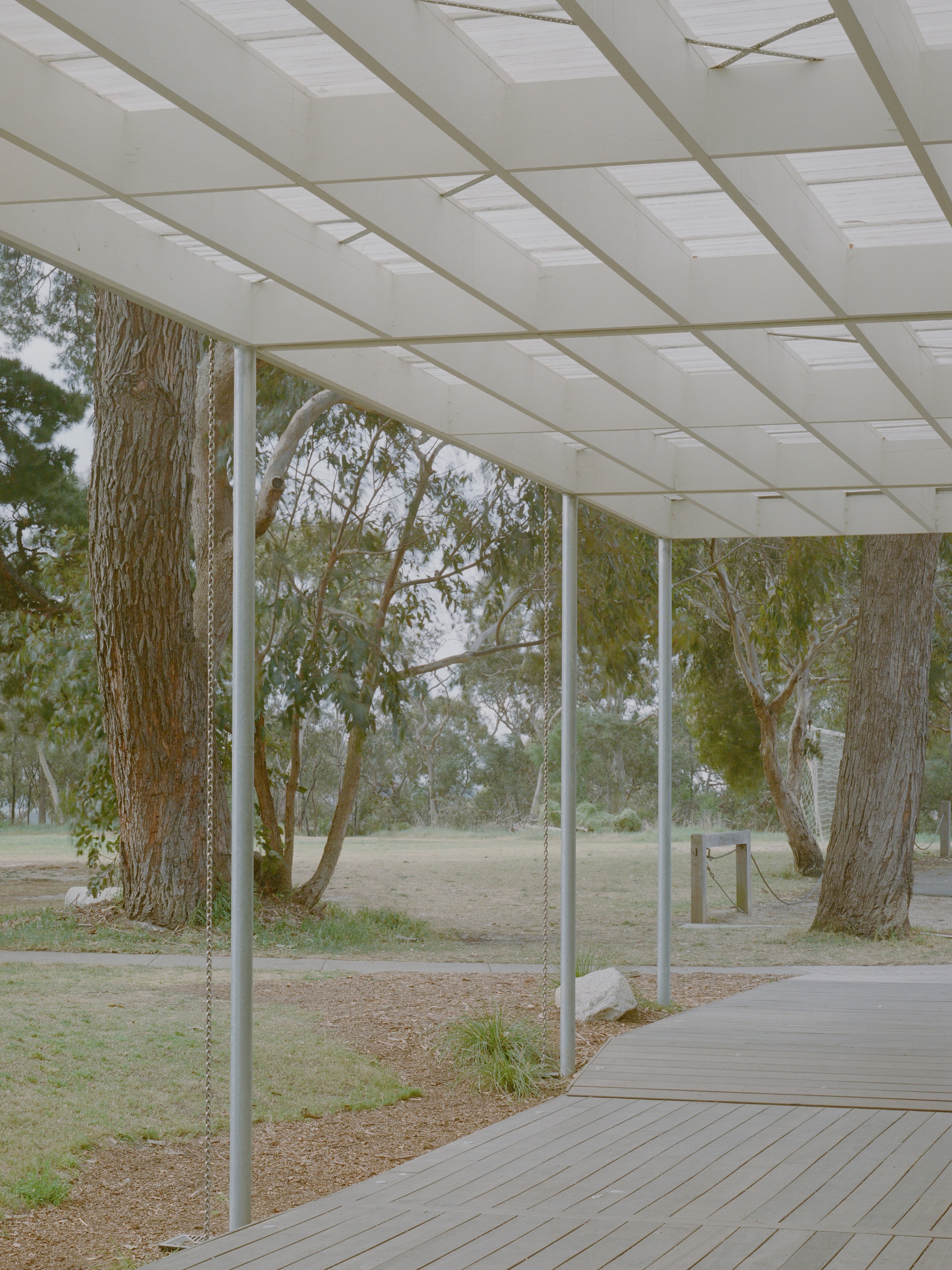 View from beneath the gridded canopy looking out to eucalyptus grove and open parkland