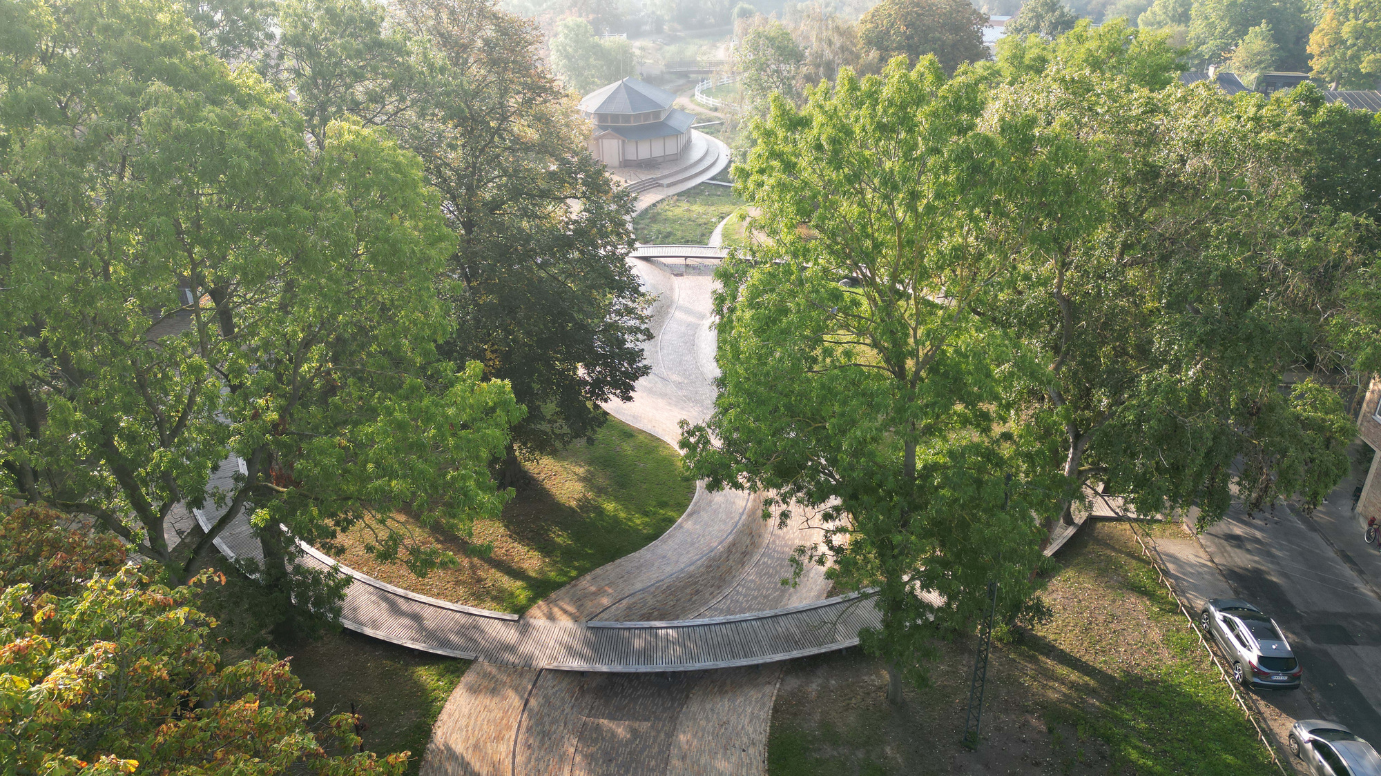 Aerial view of a curving timber boardwalk threading through mature deciduous trees in morning light