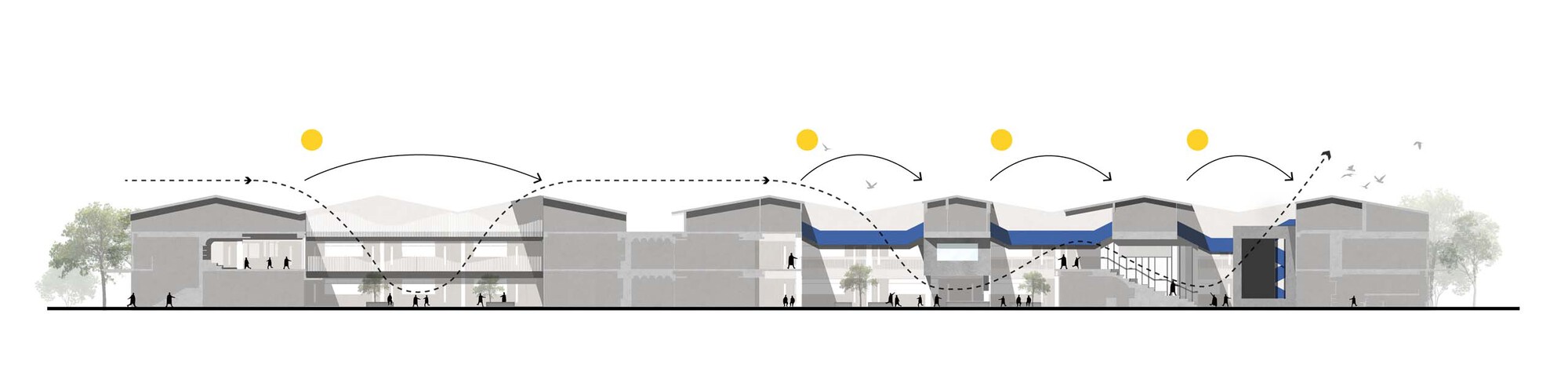 Section drawing illustrating arched roof forms over interior spaces with trees flanking the ends