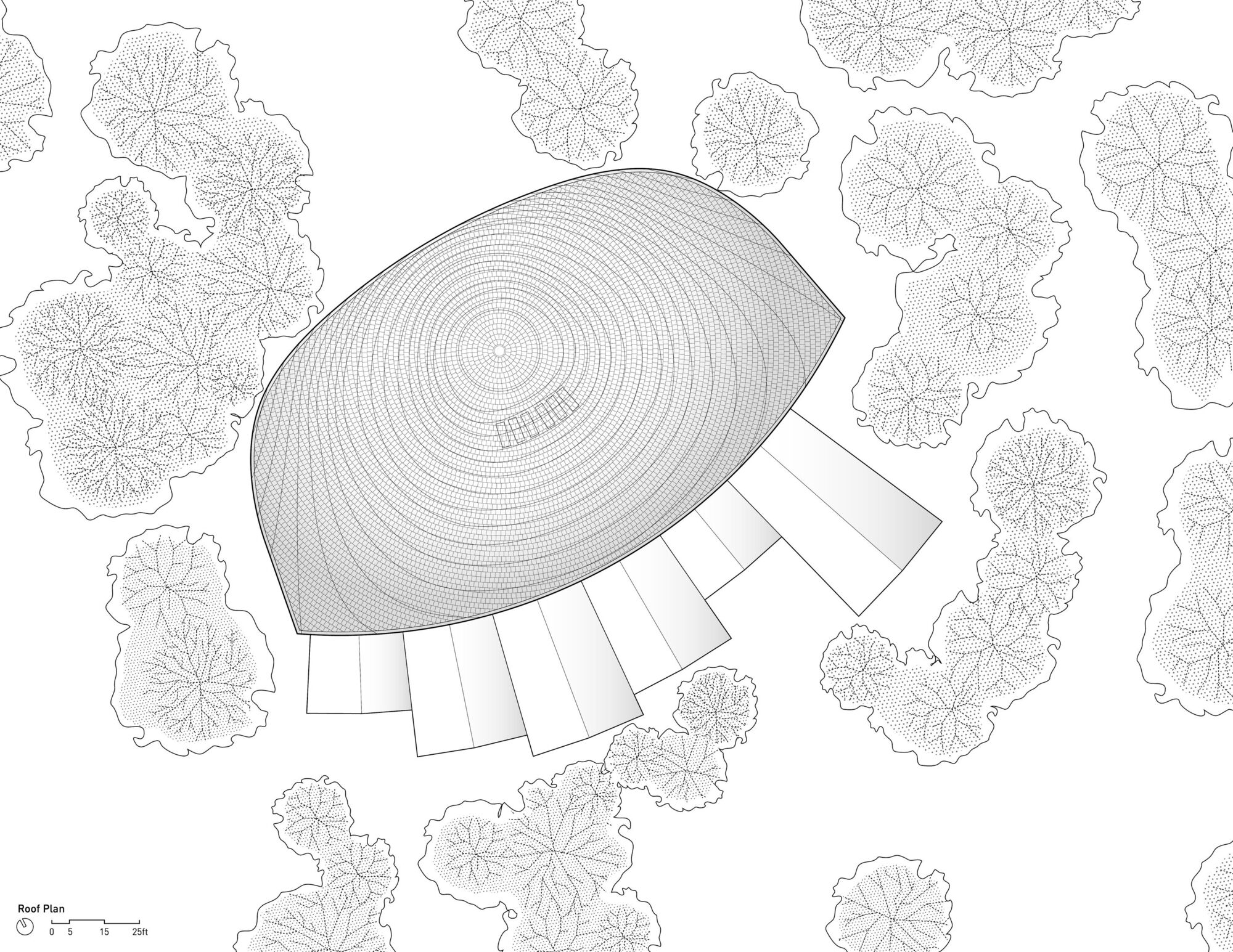 Roof plan drawing of the organic teardrop-shaped dome with radiating structural grid among tree canopies