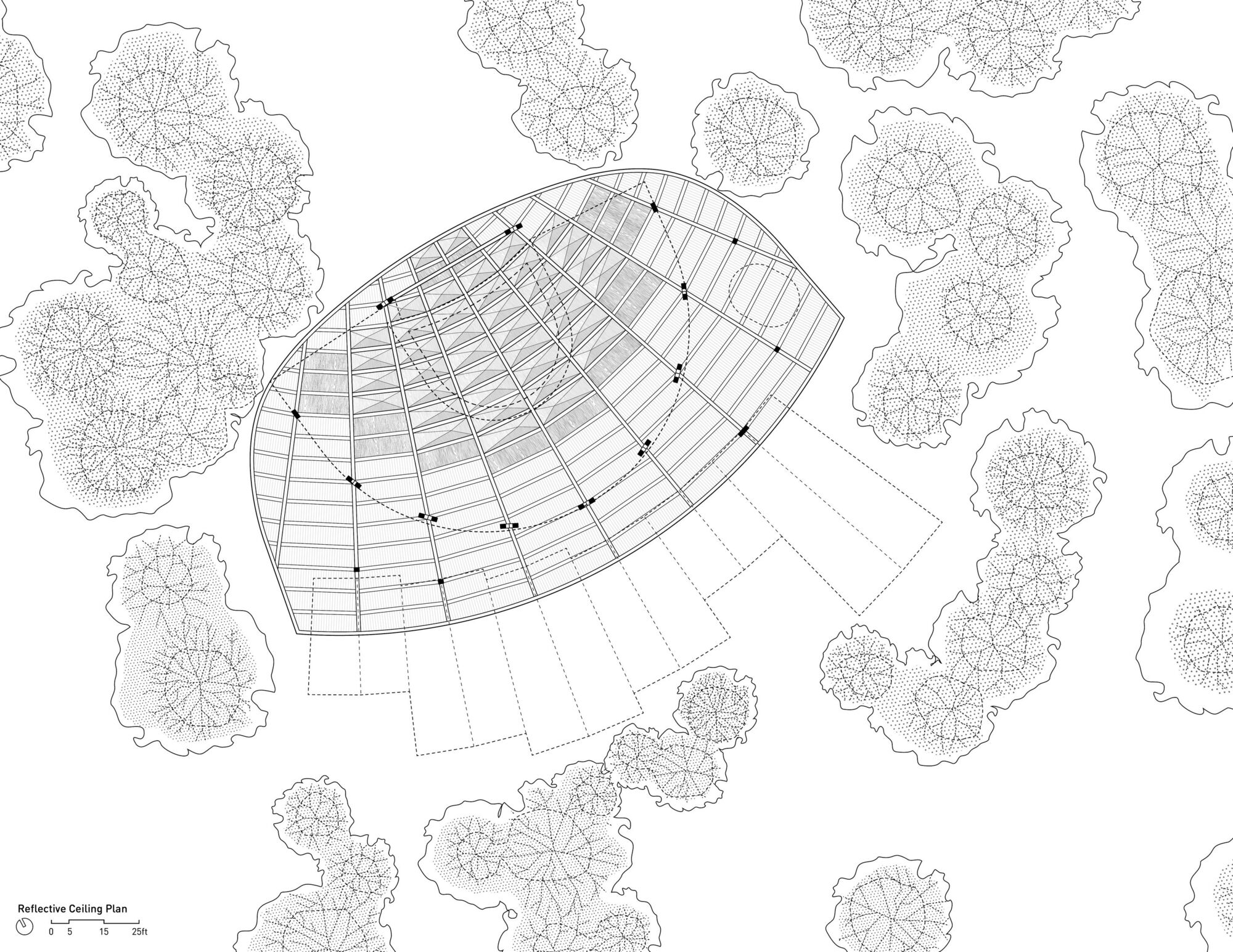 Reflective ceiling plan showing the curved structural ribs and panel layout of the dome roof