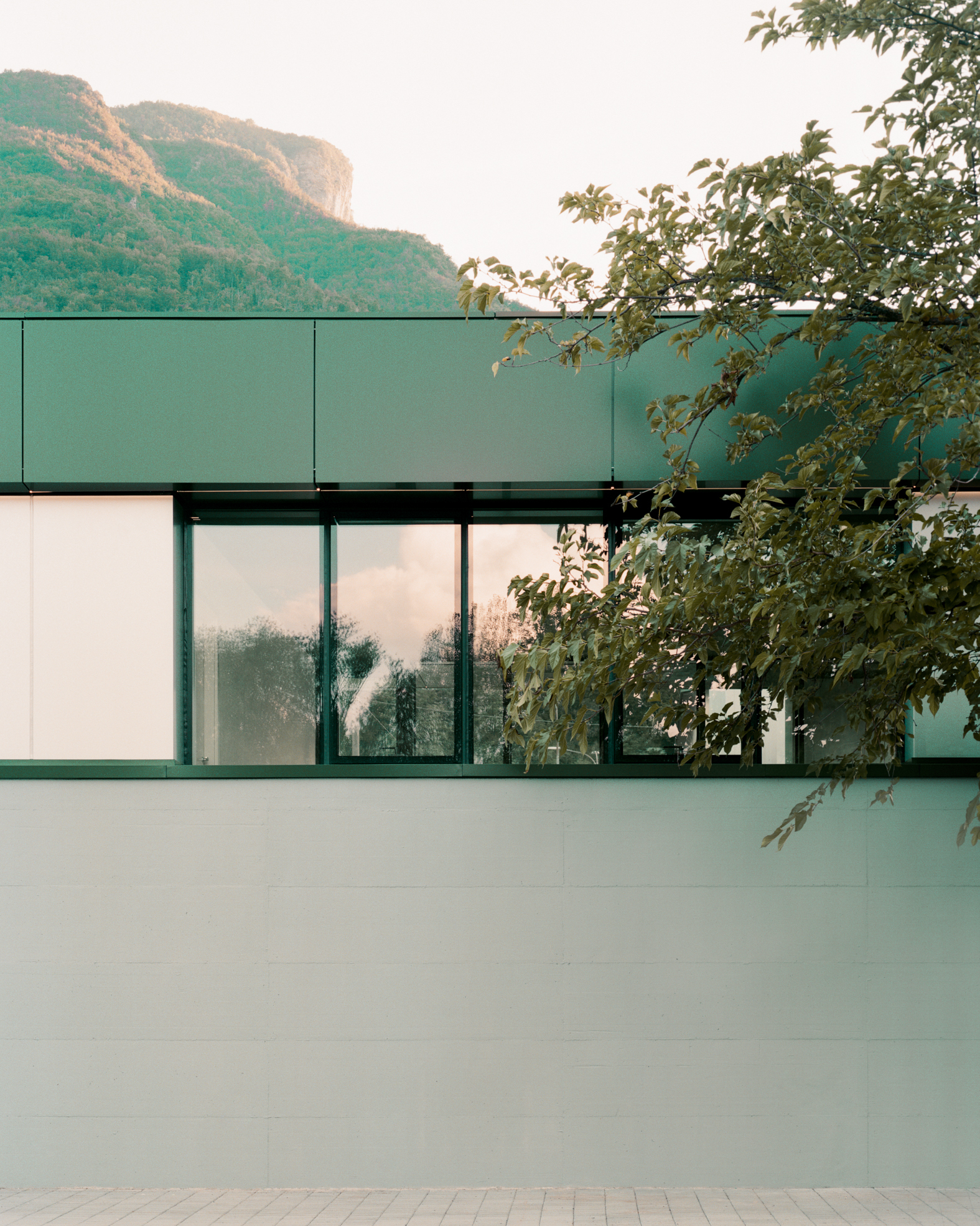 Two-story elevation with green metal cladding and ribbon glazing framed by leafy tree branches