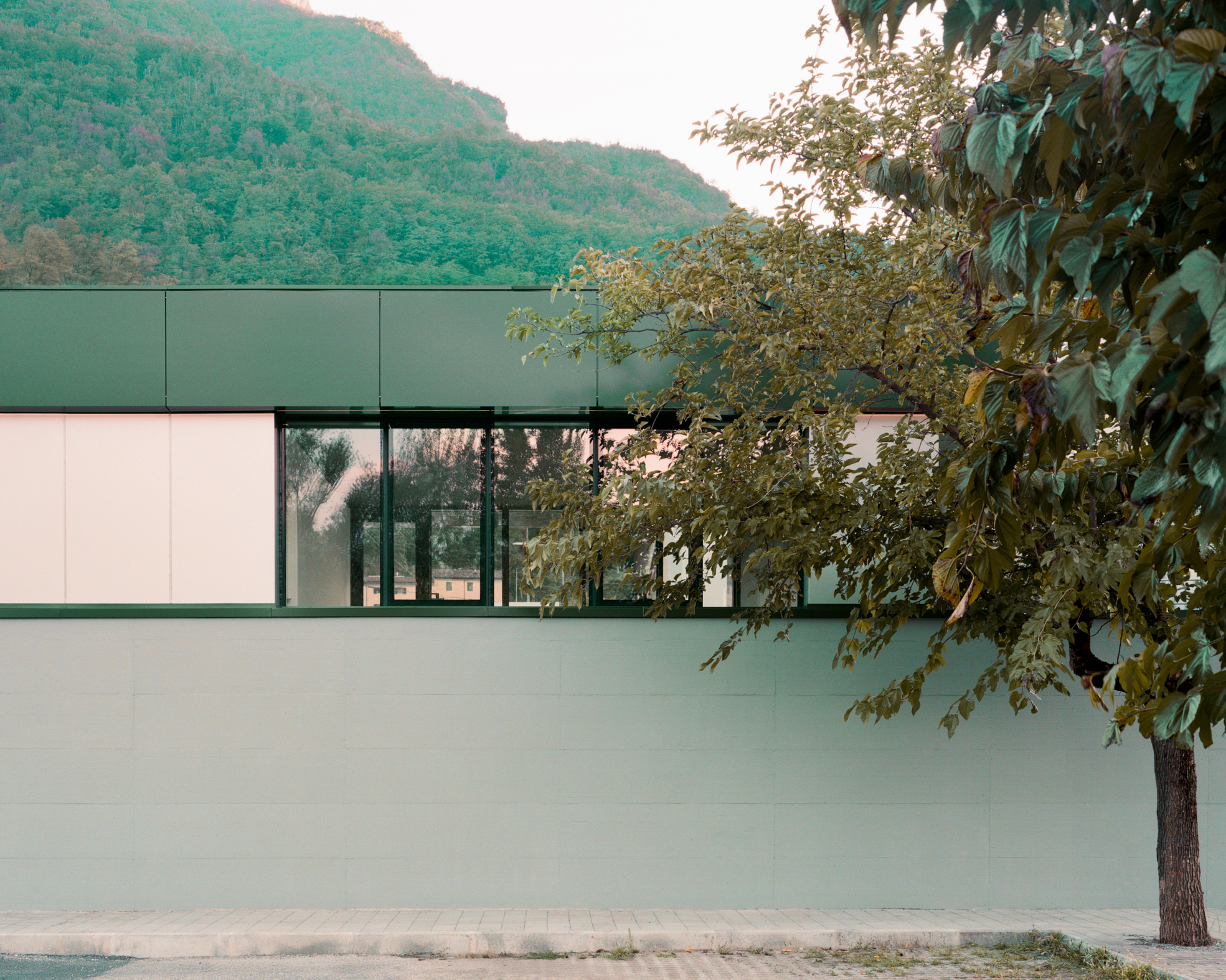 Street view of the mint green and pink paneled facade with deciduous trees against a mountainous backdrop