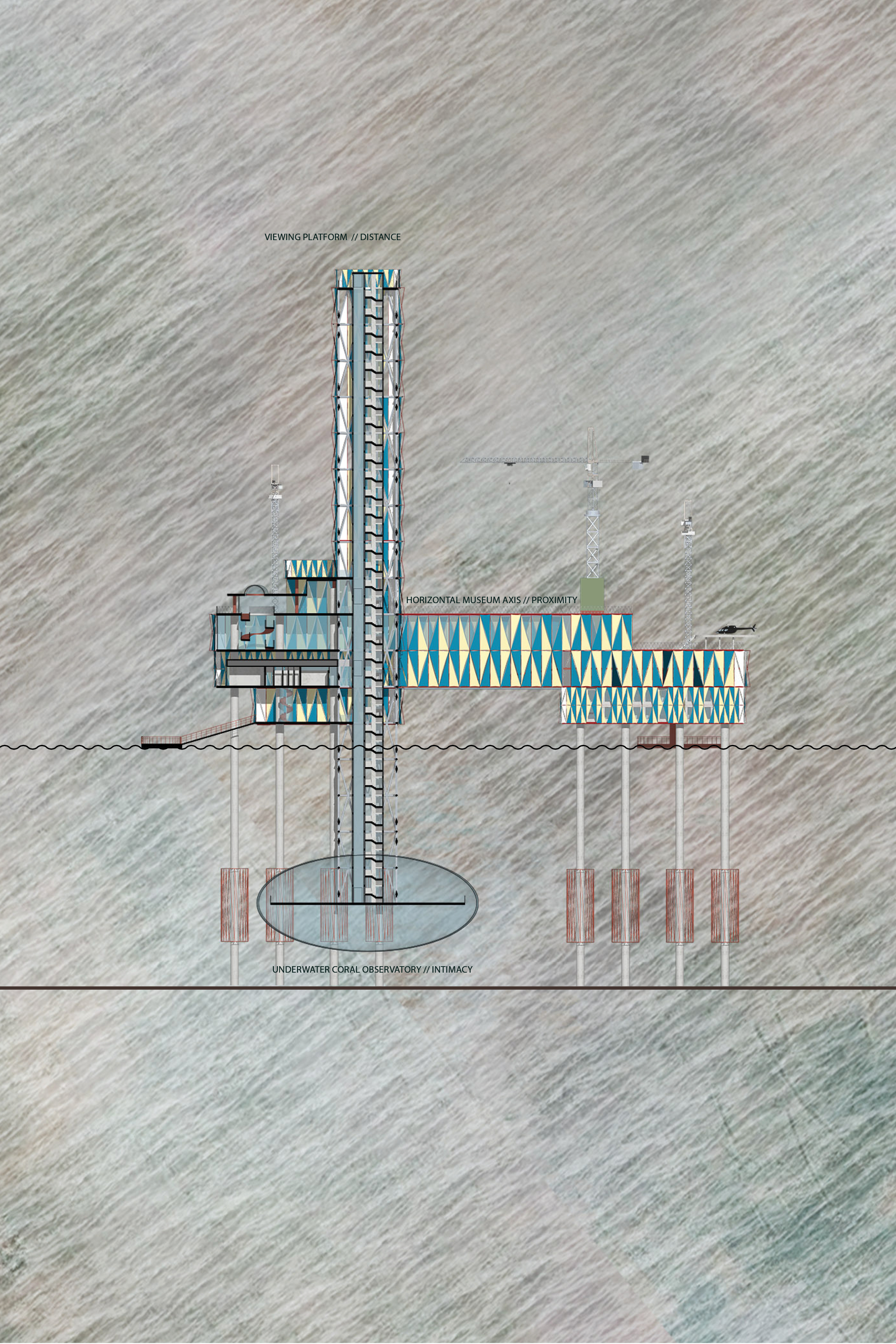 Architectural section revealing the viewing tower, museum axis, and underwater coral observatory connecting sky and sea.