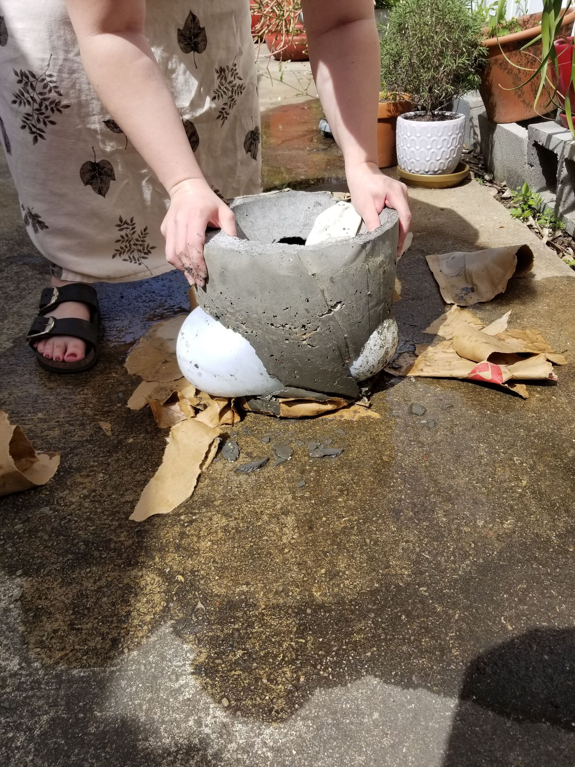 Hands positioning a concrete planter mold on a patio surrounded by potted plants and cardboard