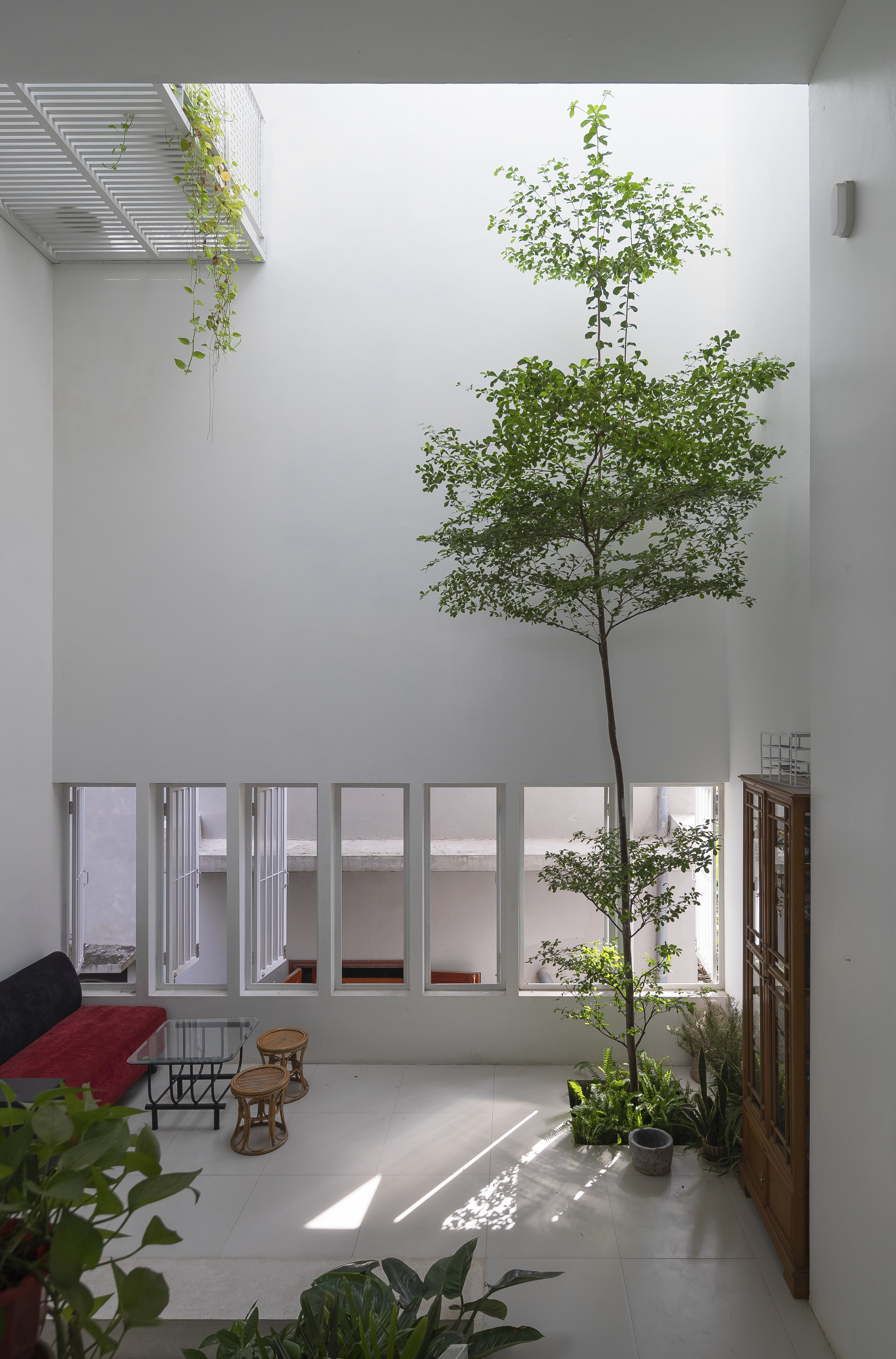 Double-height interior courtyard with a central tree rising through the space and clerestory windows above