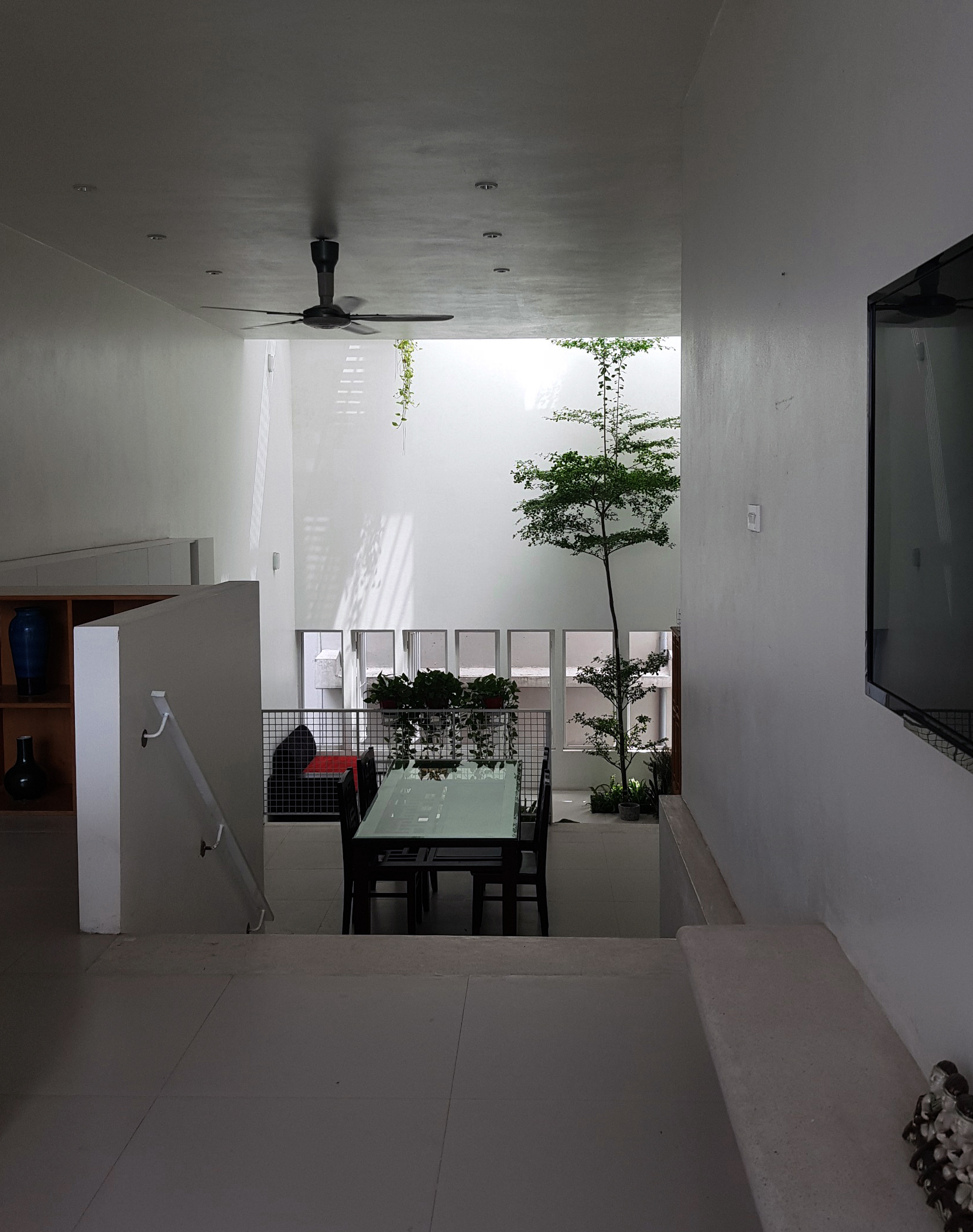 Interior view of a double-height dining area with a slender tree rising beside a glass table