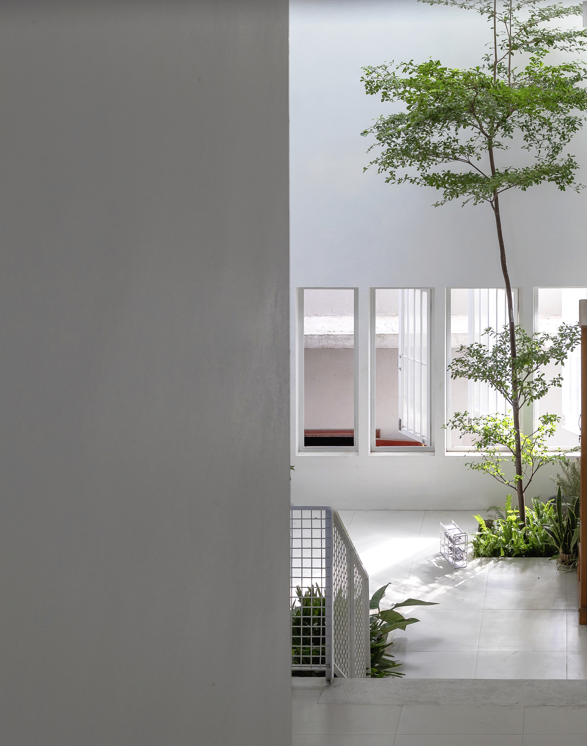 Internal courtyard with a tall tree growing through a slab opening beside gridded metal planters