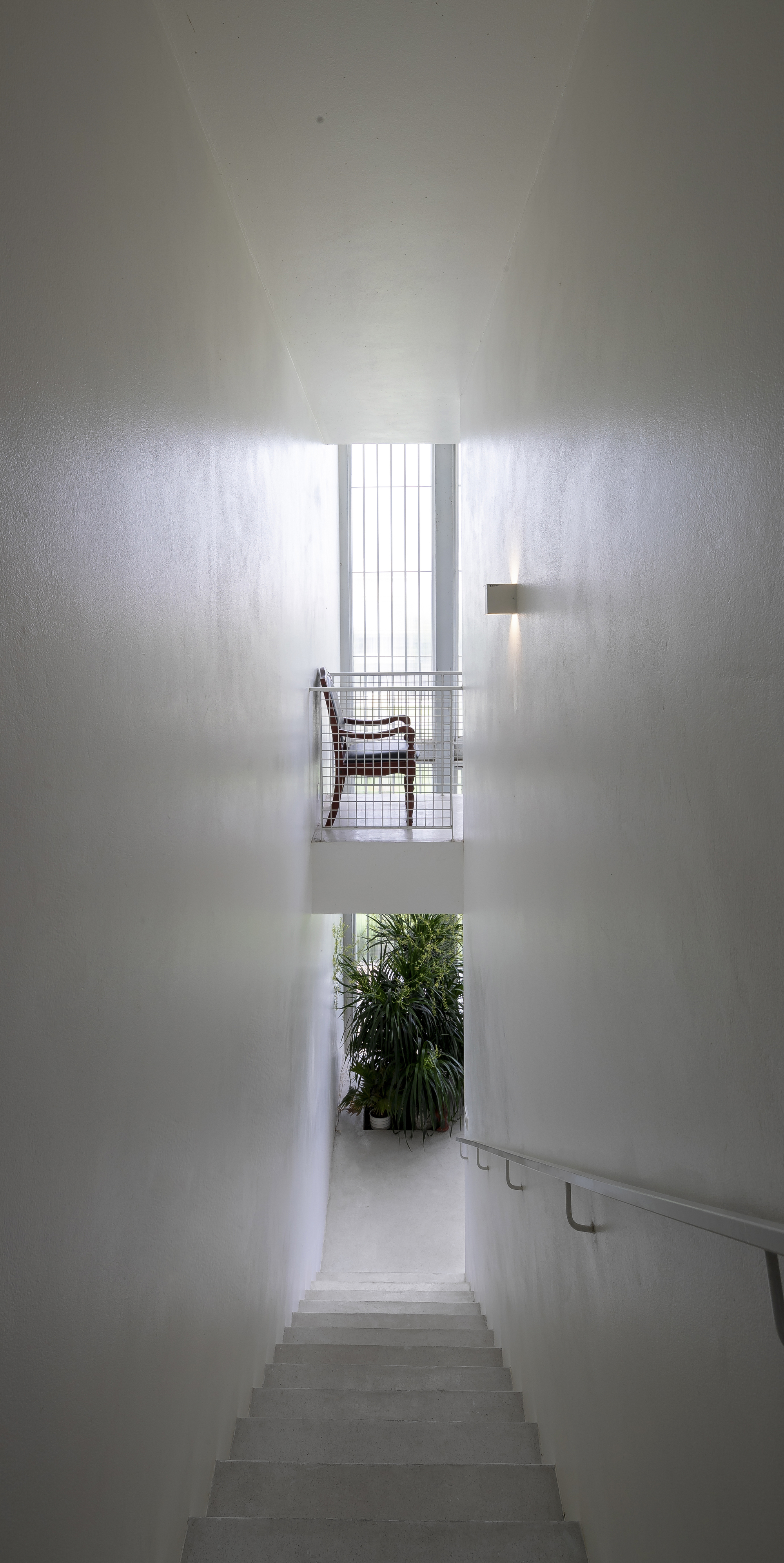 Stairwell view down concrete steps toward a planted landing and wire mesh balustrade with chair above