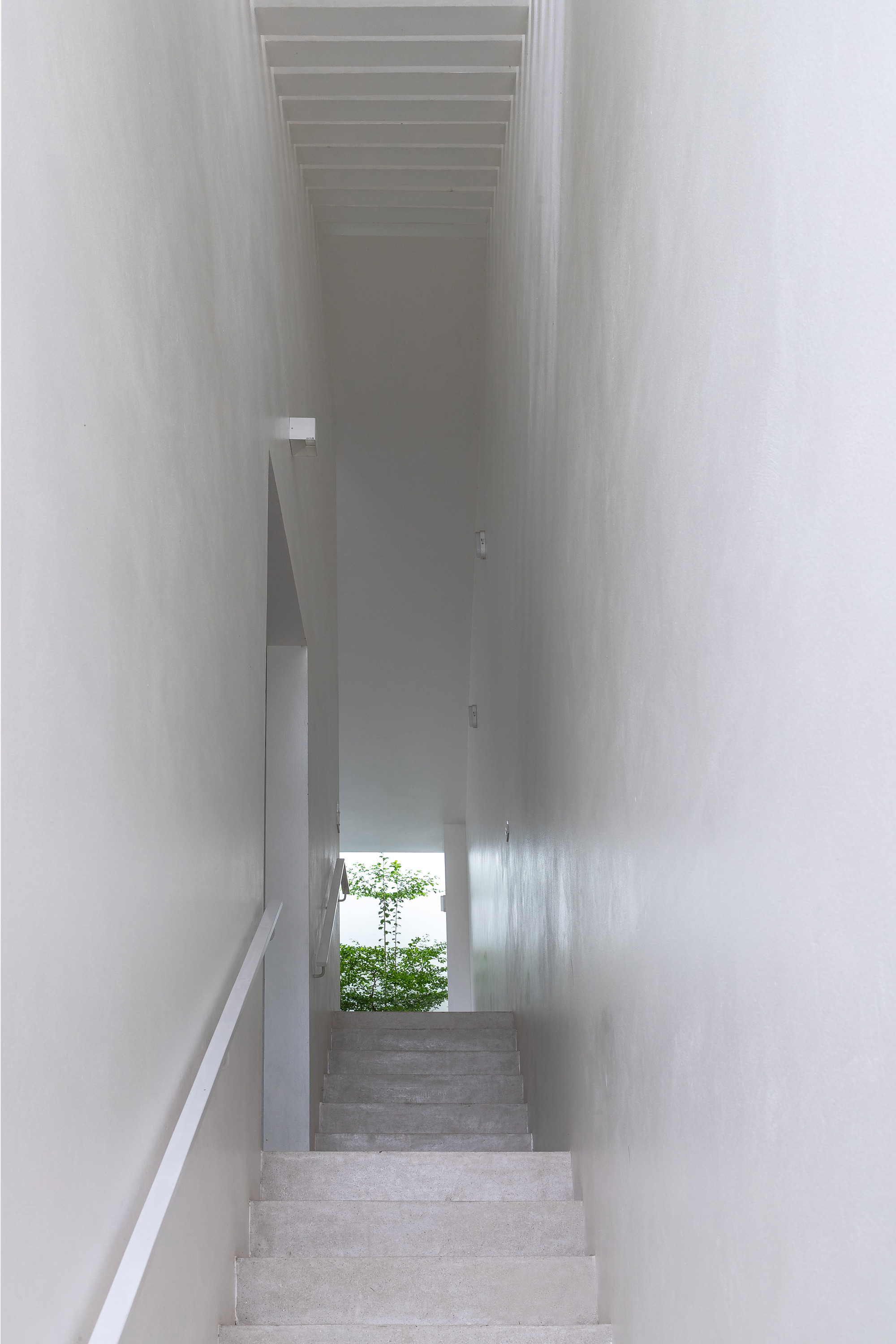 Narrow staircase descending between white walls toward a small tree visible at the landing below