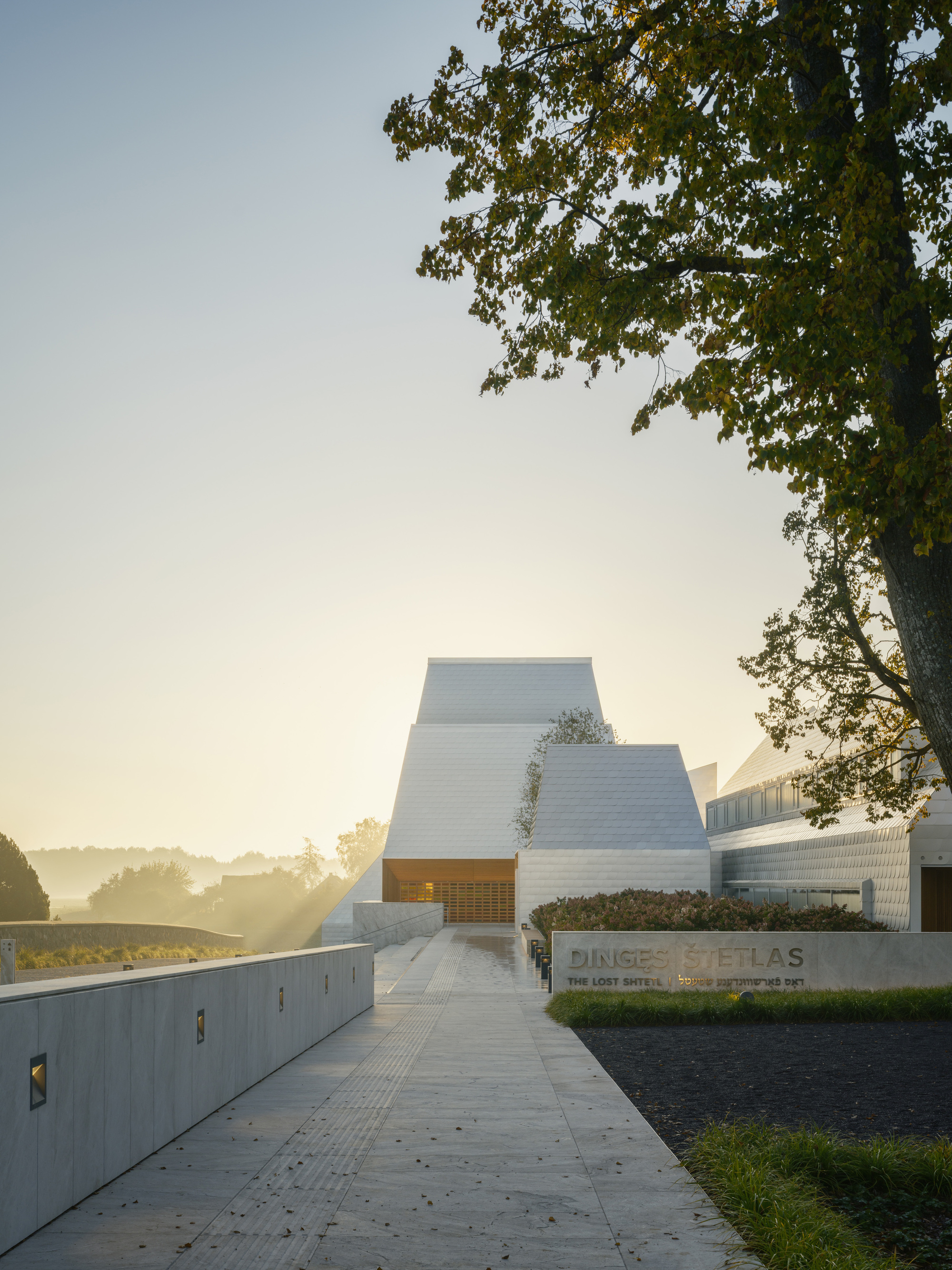 Concrete entry path leading toward white folded volumes beneath overhanging tree branches at sunrise