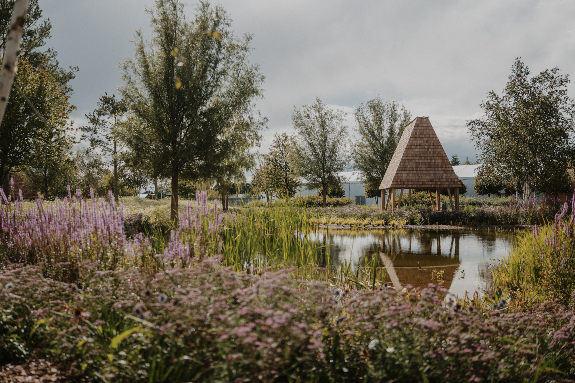 Pyramidal shingled structure reflected in a pond surrounded by flowering grasses and trees