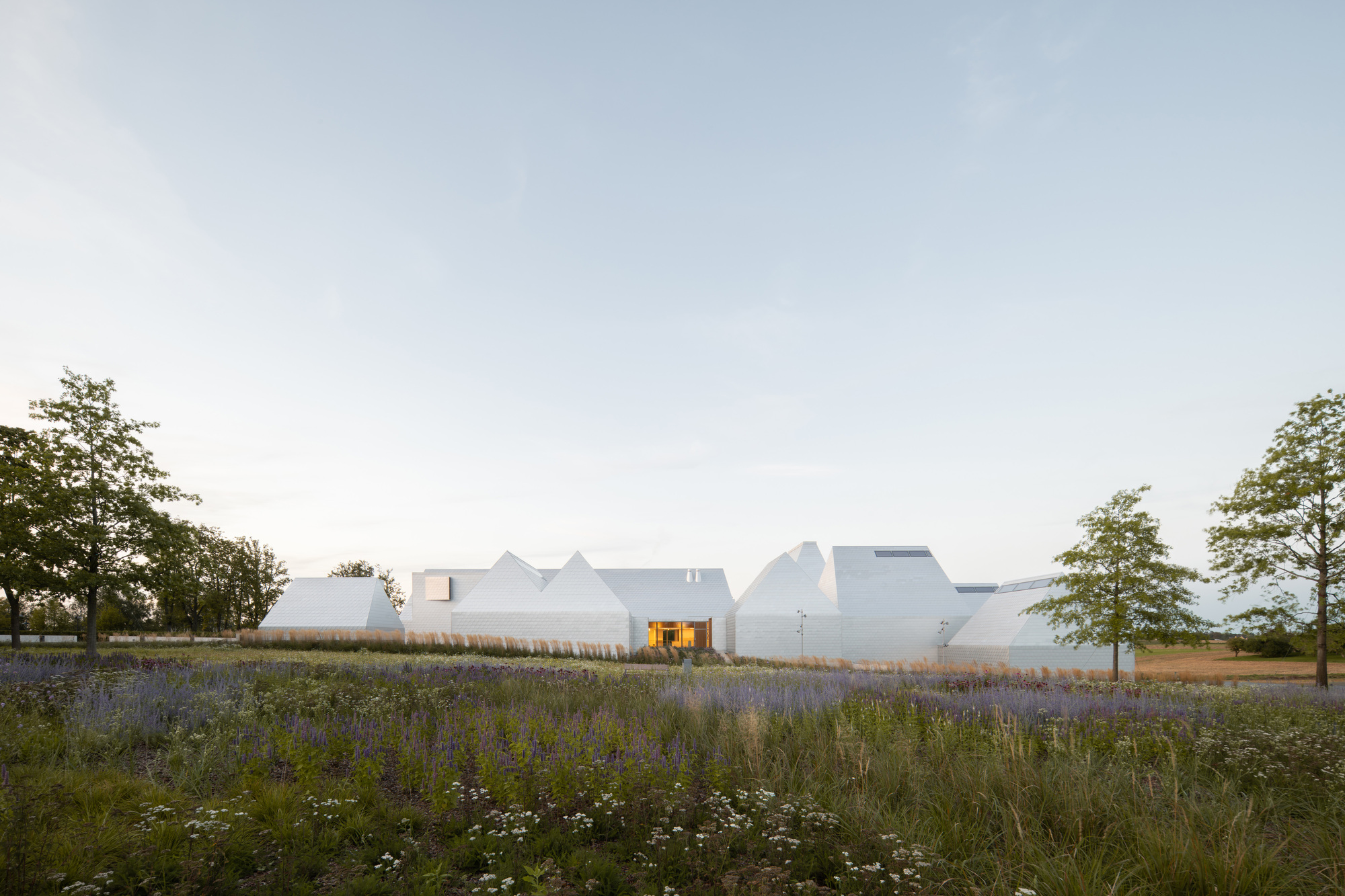 White angular roofscape rising above a field of purple wildflowers at twilight