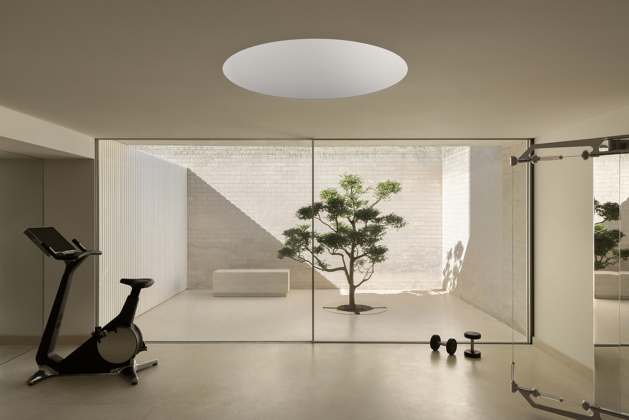 Glass-walled exercise room with a circular skylight overlooking a courtyard with a pruned tree