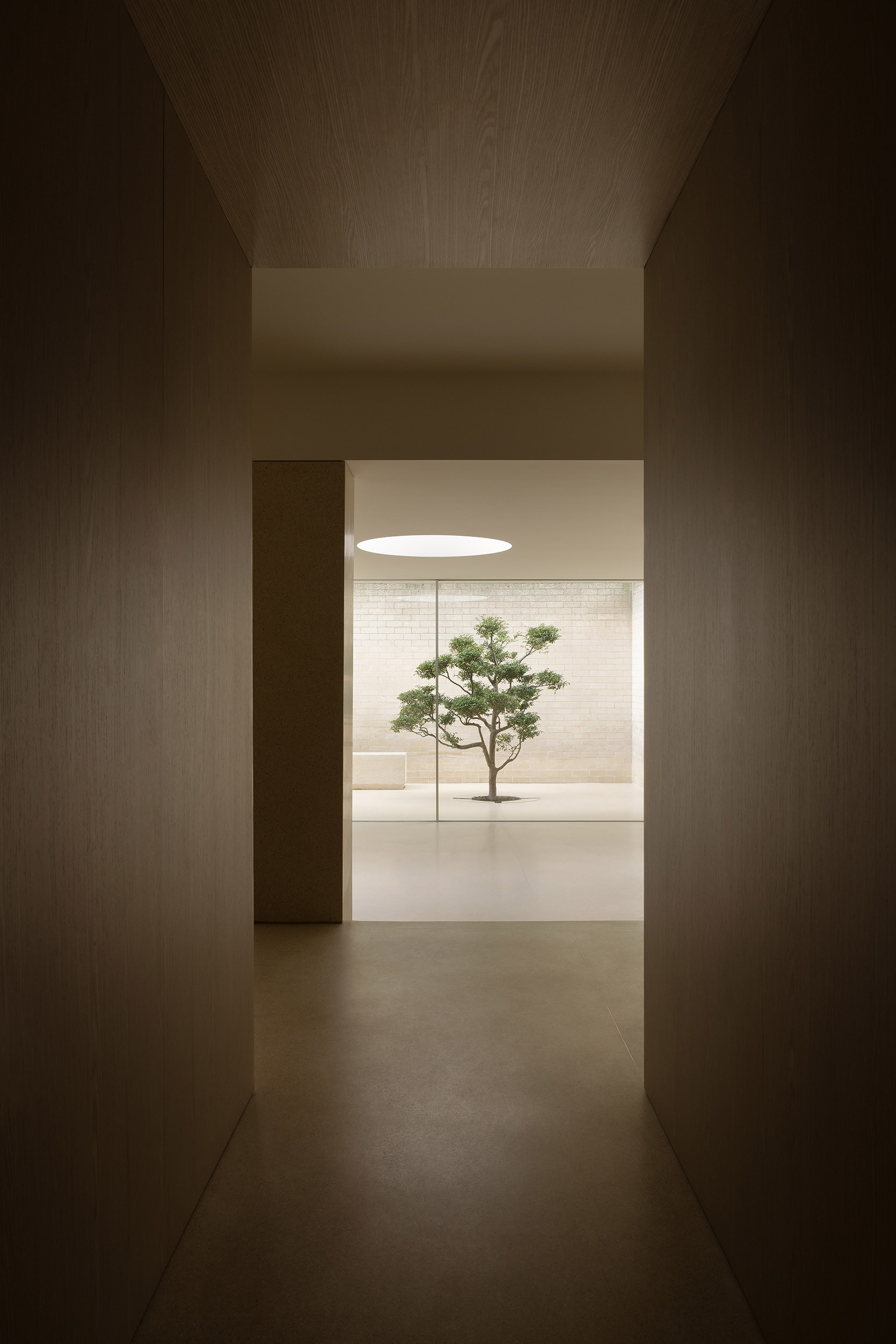 Corridor framing a view through to the courtyard with bonsai tree and circular skylight above