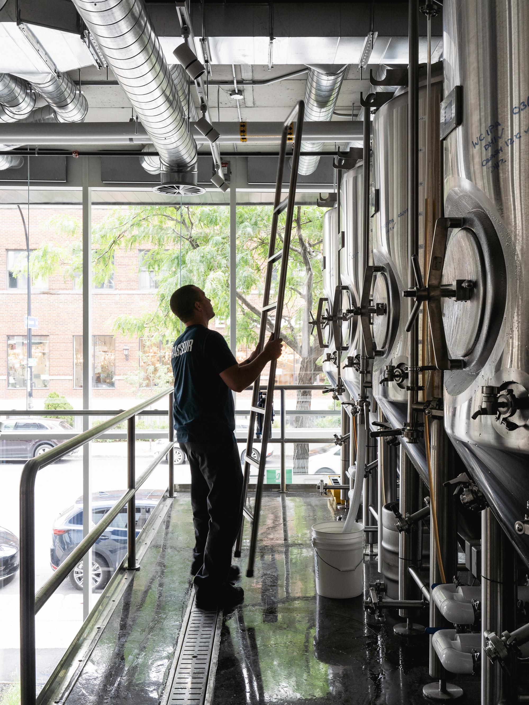 Worker on a ladder among exposed ductwork and stainless steel brewing tanks with trees visible through the windows
