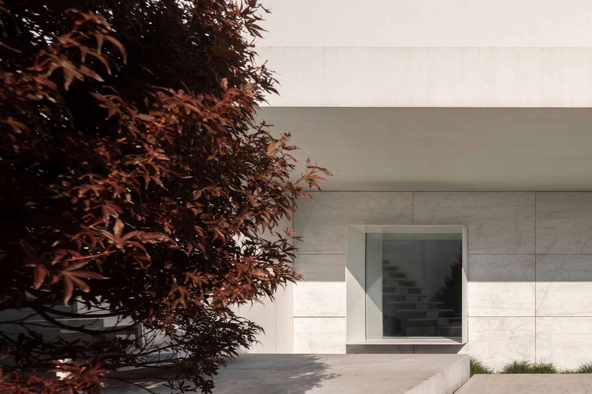 Stone-clad facade with framed window alongside a red-leafed tree in morning light