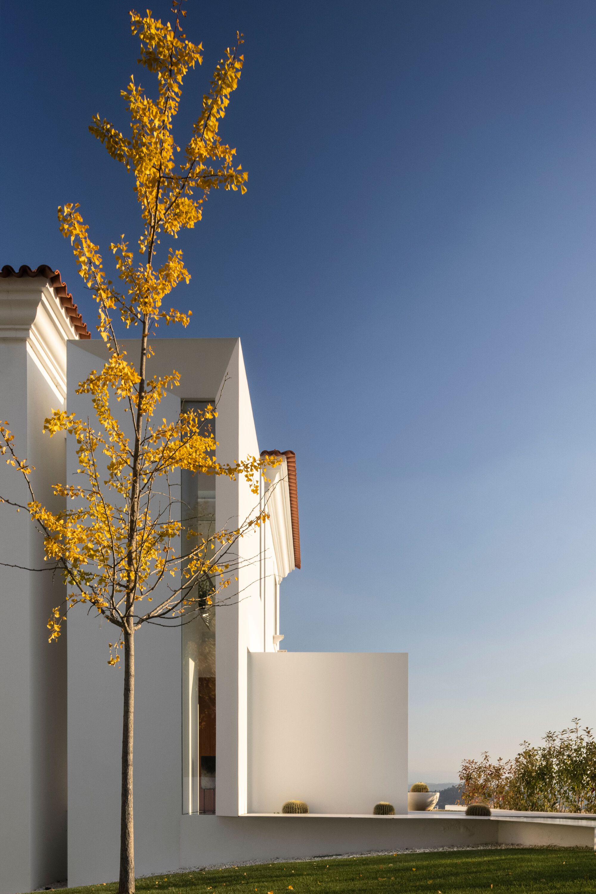 Two-story facade with terra-cotta roof tiles and a tree with golden autumn leaves