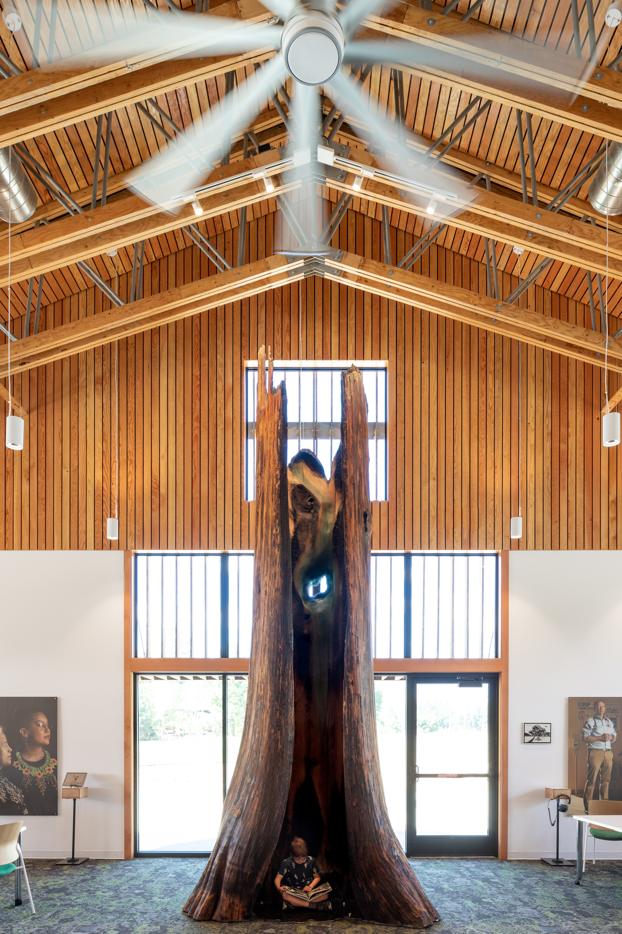 Entry hall with gabled timber ceiling and central preserved tree trunk sculpture flanked by glass doors