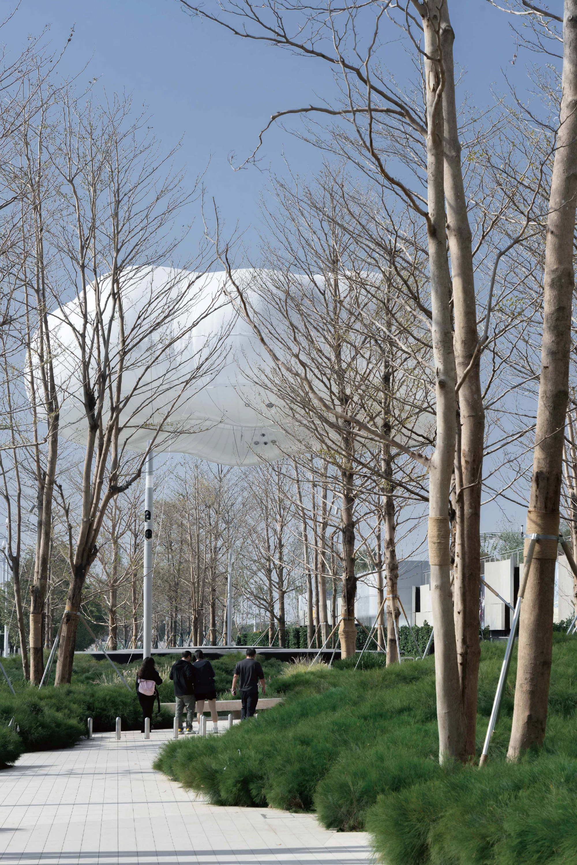 Paved pathway flanked by bare winter trees and landscaped berms leading toward a white canopy structure