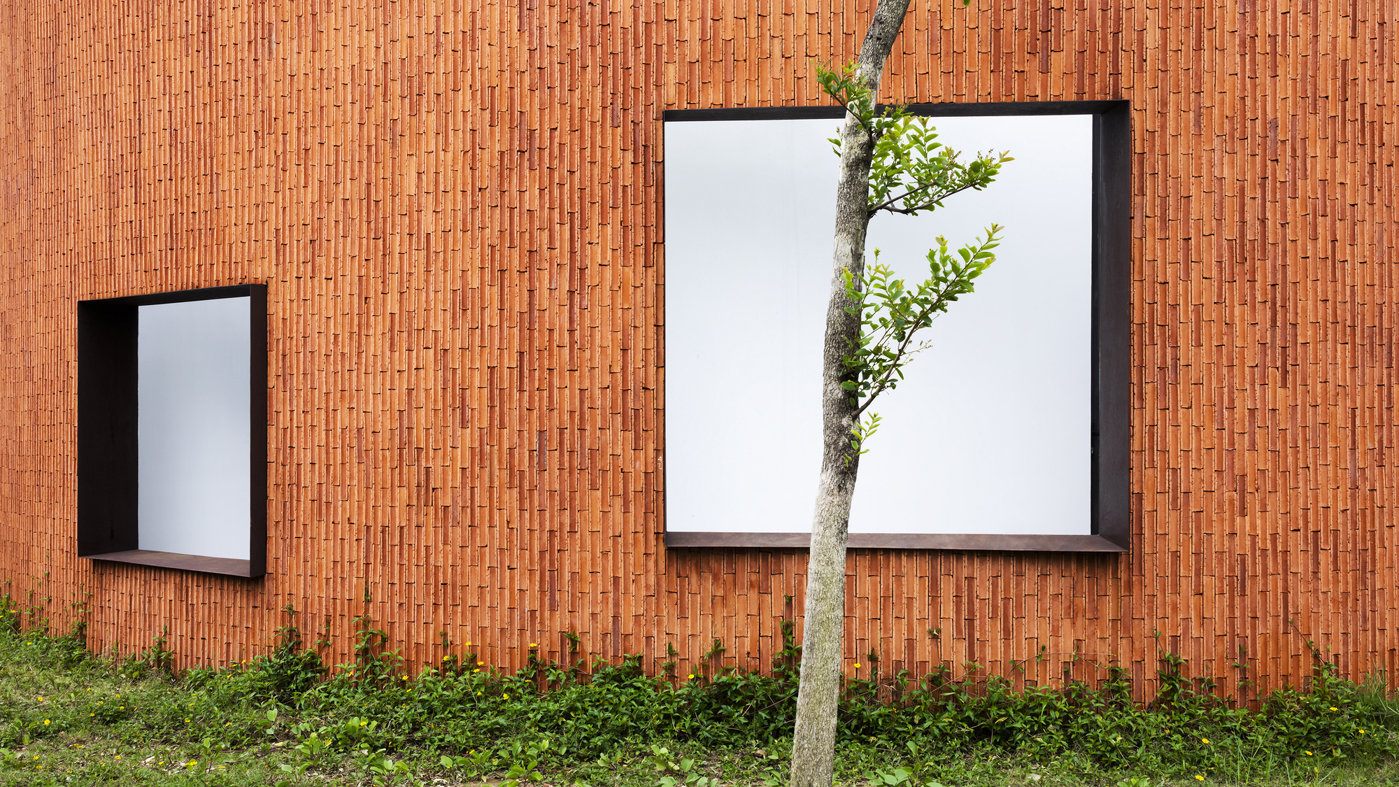 Close view of the terracotta brick wall with black-framed windows and a young tree