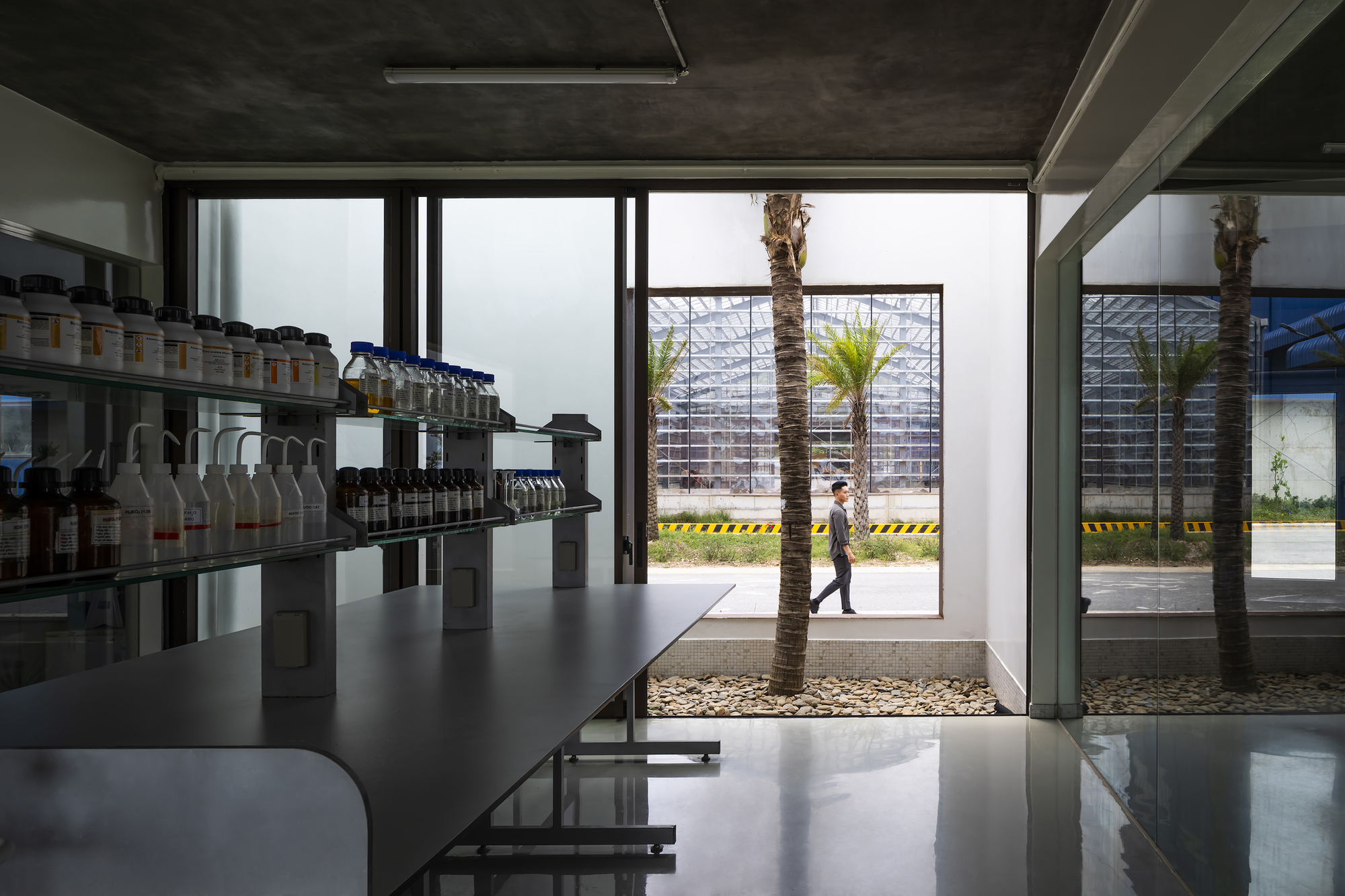 View through glass walls to interior courtyard with palm tree and person walking past exterior fence