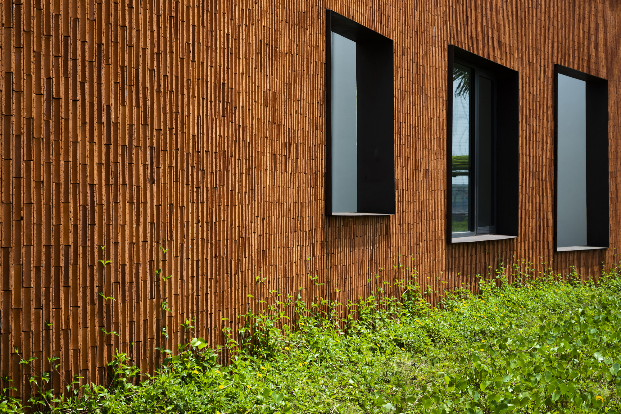 Three tall narrow windows puncturing the vertical terracotta brick facade above green shrubs