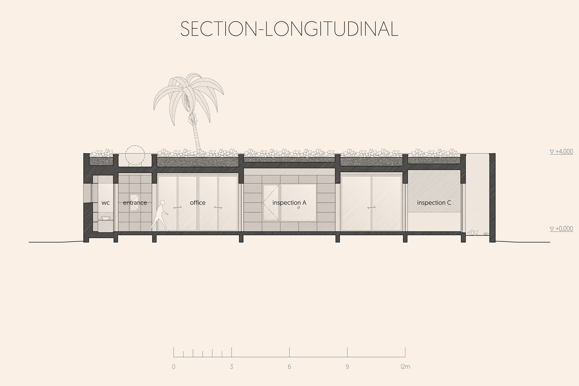 Longitudinal section drawing showing a linear sequence of rooms with a palm tree above