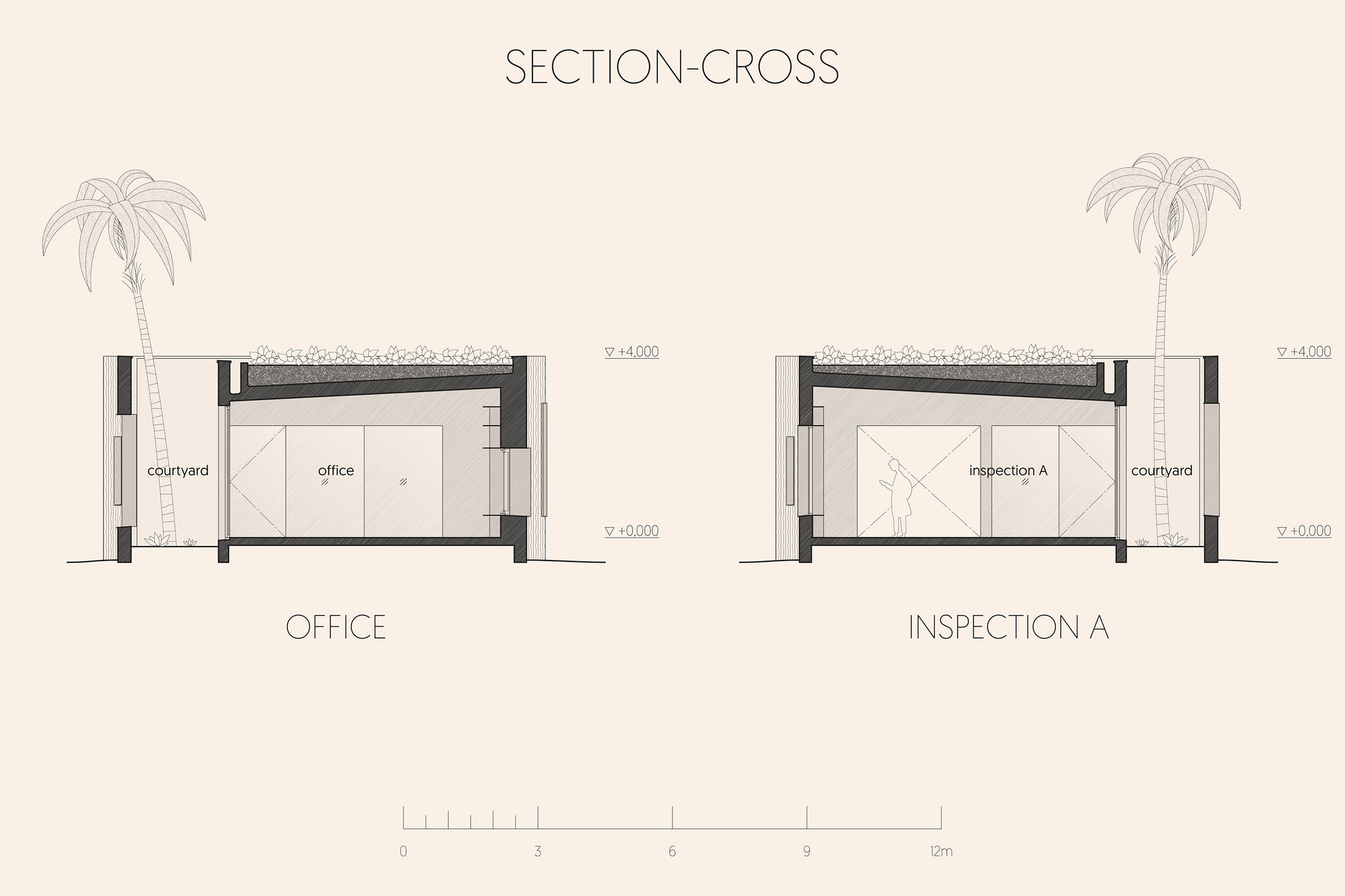 Cross section drawings of office and inspection spaces with palm trees flanking each volume