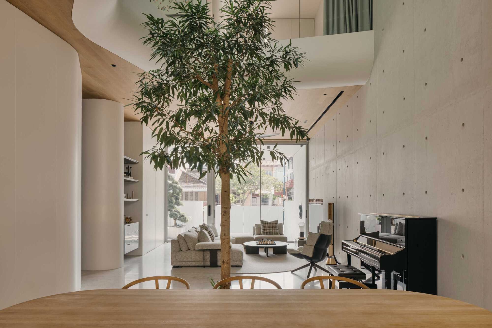 Double-height living space with a planted tree rising through timber floors and concrete walls