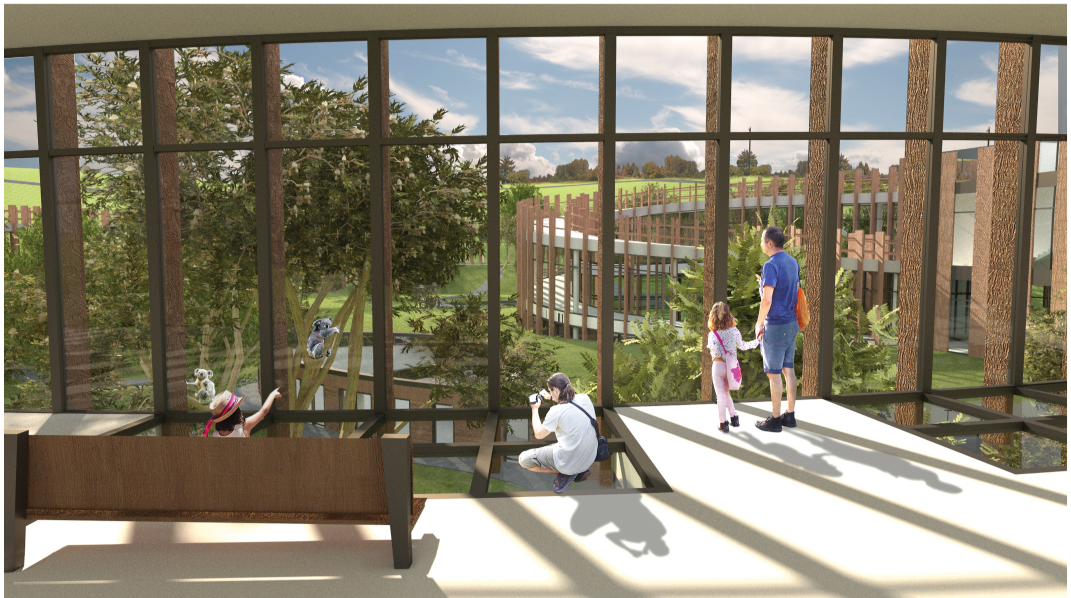 Floor-integrated glass panels create unique perspectives for observing koalas from above, below, and eye level.