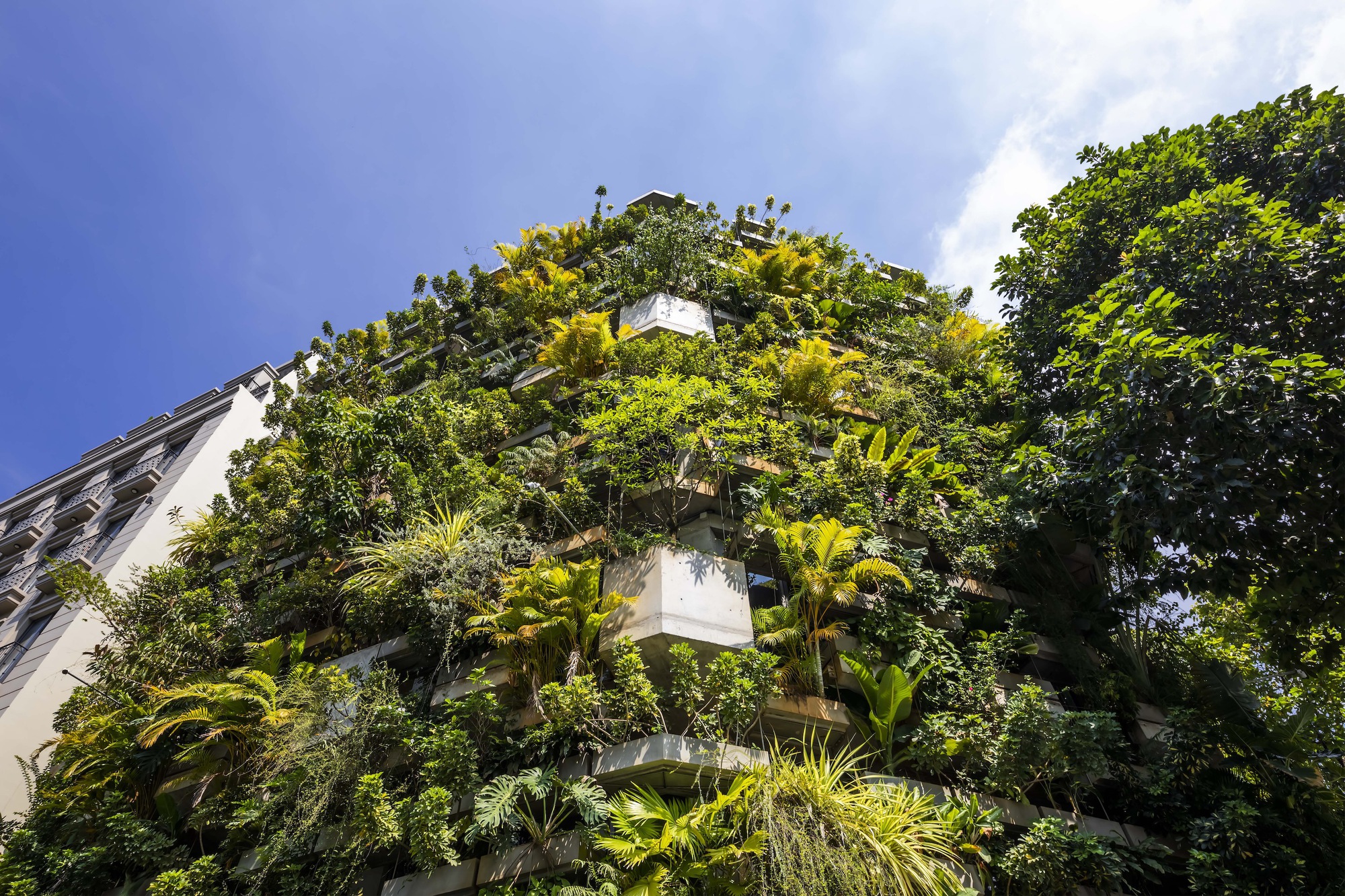 Street view of the planted facade with palms and ferns spilling from cantilevered concrete balconies
