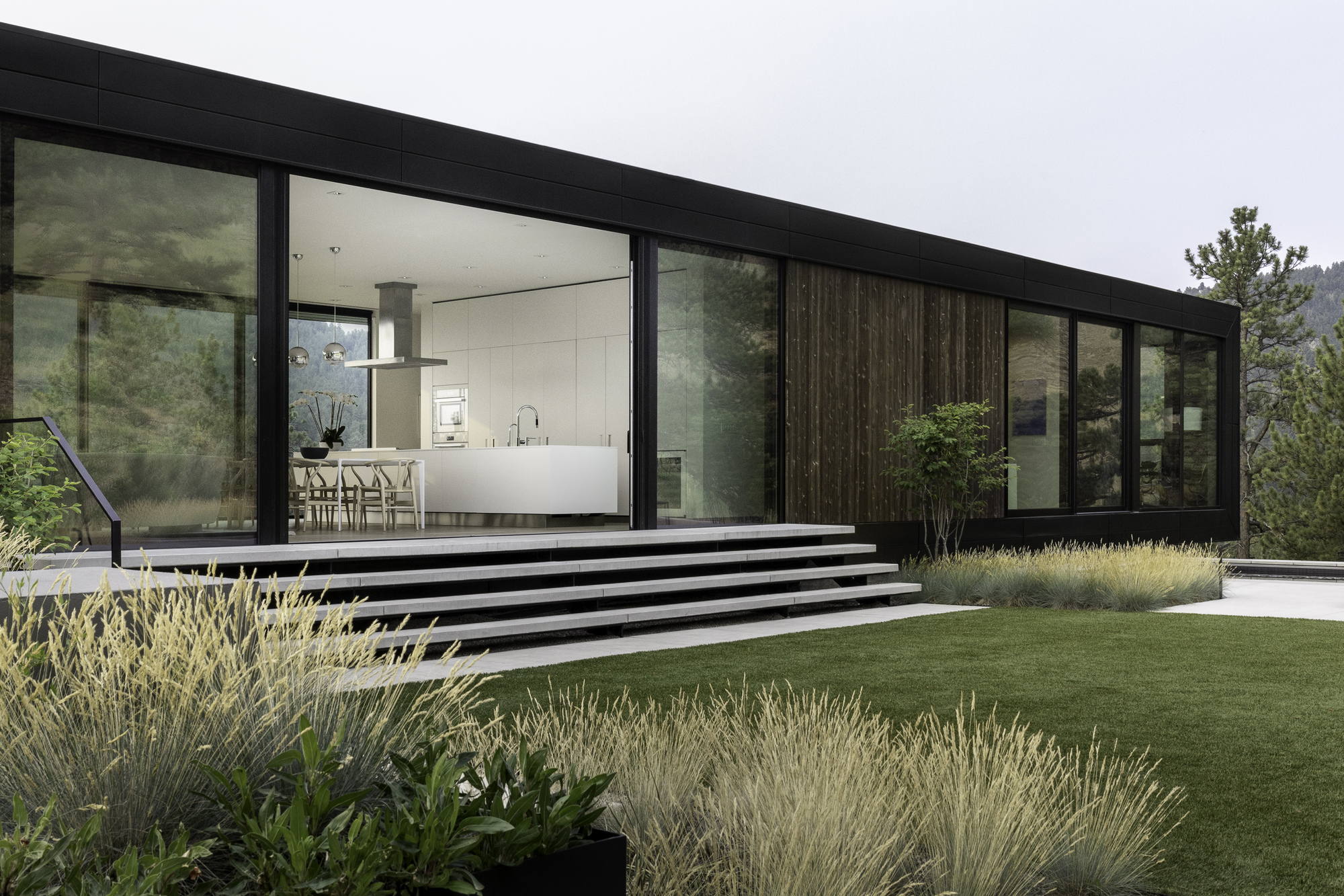 Wide concrete steps leading to a glass-walled living space framed by ornamental grasses and lawn