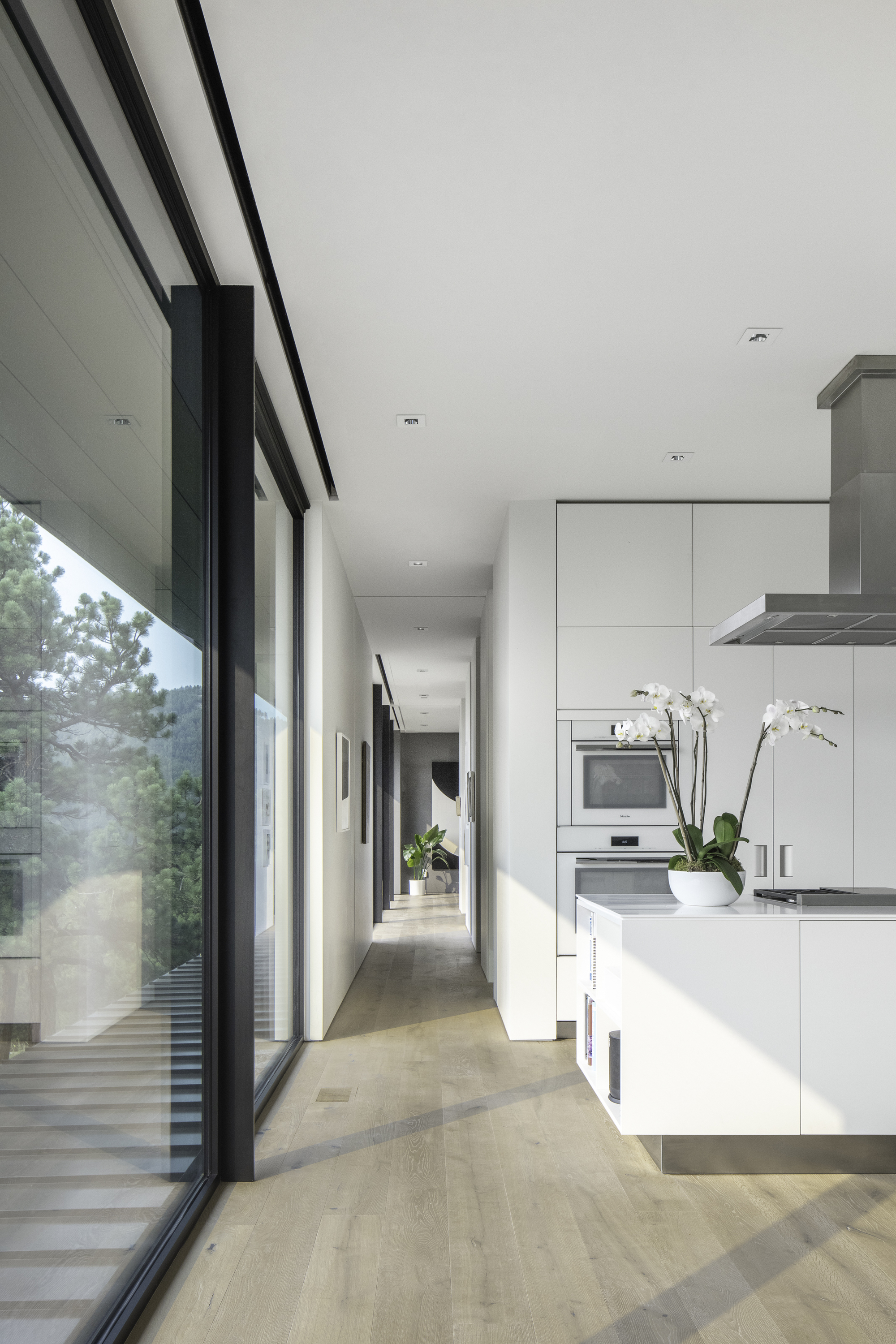 Galley kitchen with white cabinetry along a corridor with continuous glazing overlooking trees