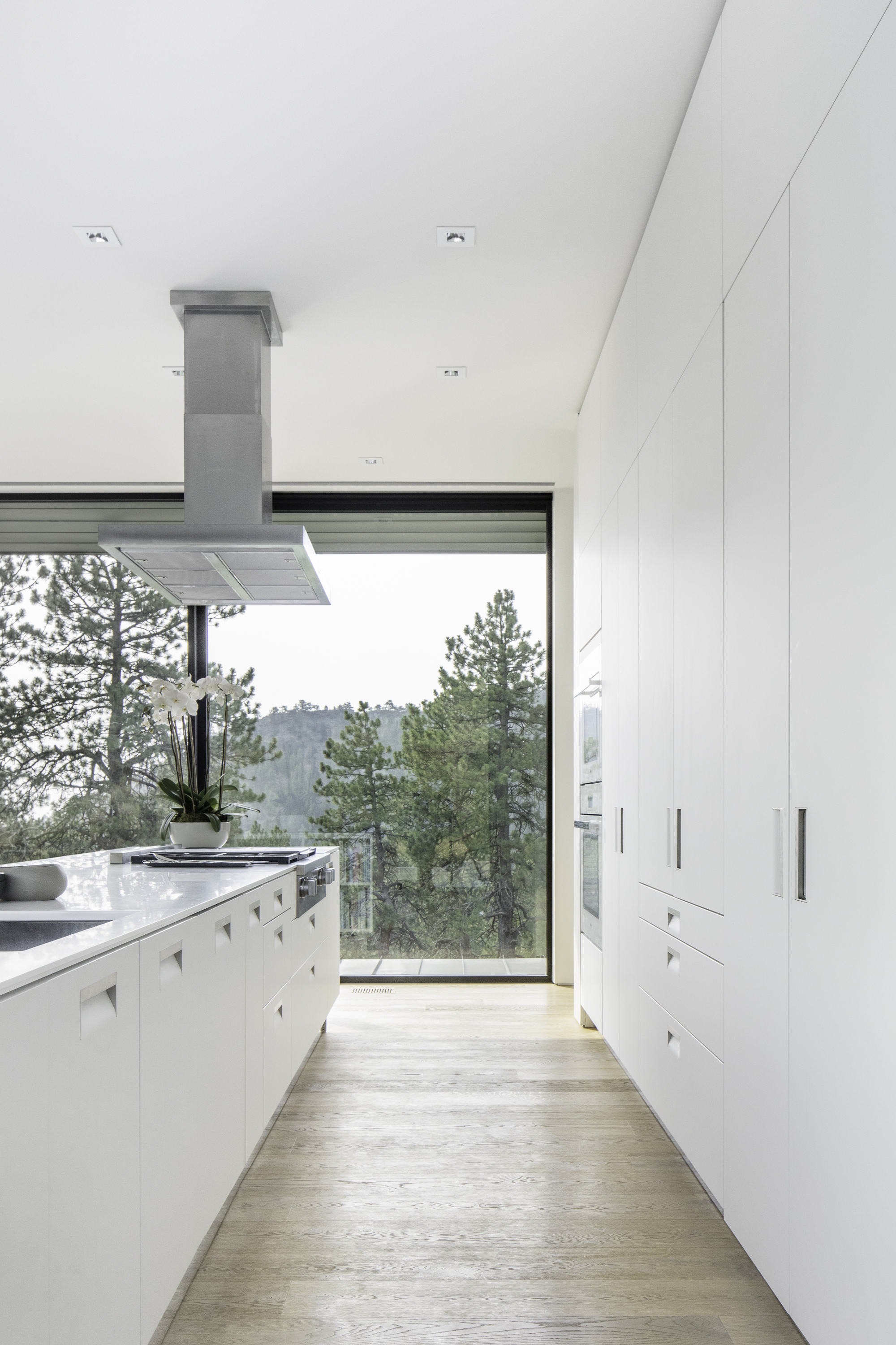 White galley kitchen with stainless steel range hood and clerestory window overlooking pine trees