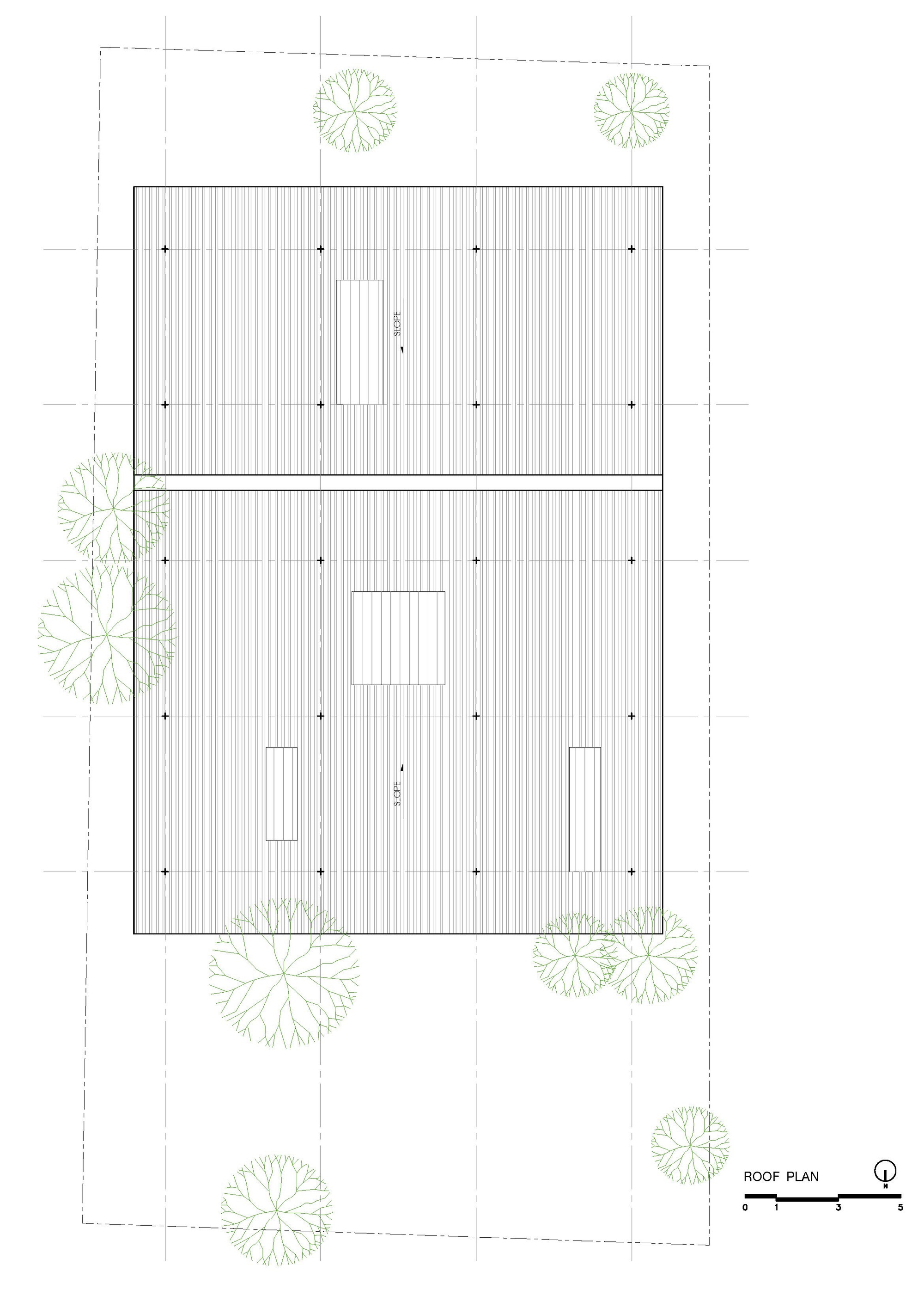 Roof plan drawing showing two rectangular volumes with skylights and surrounding tree canopies