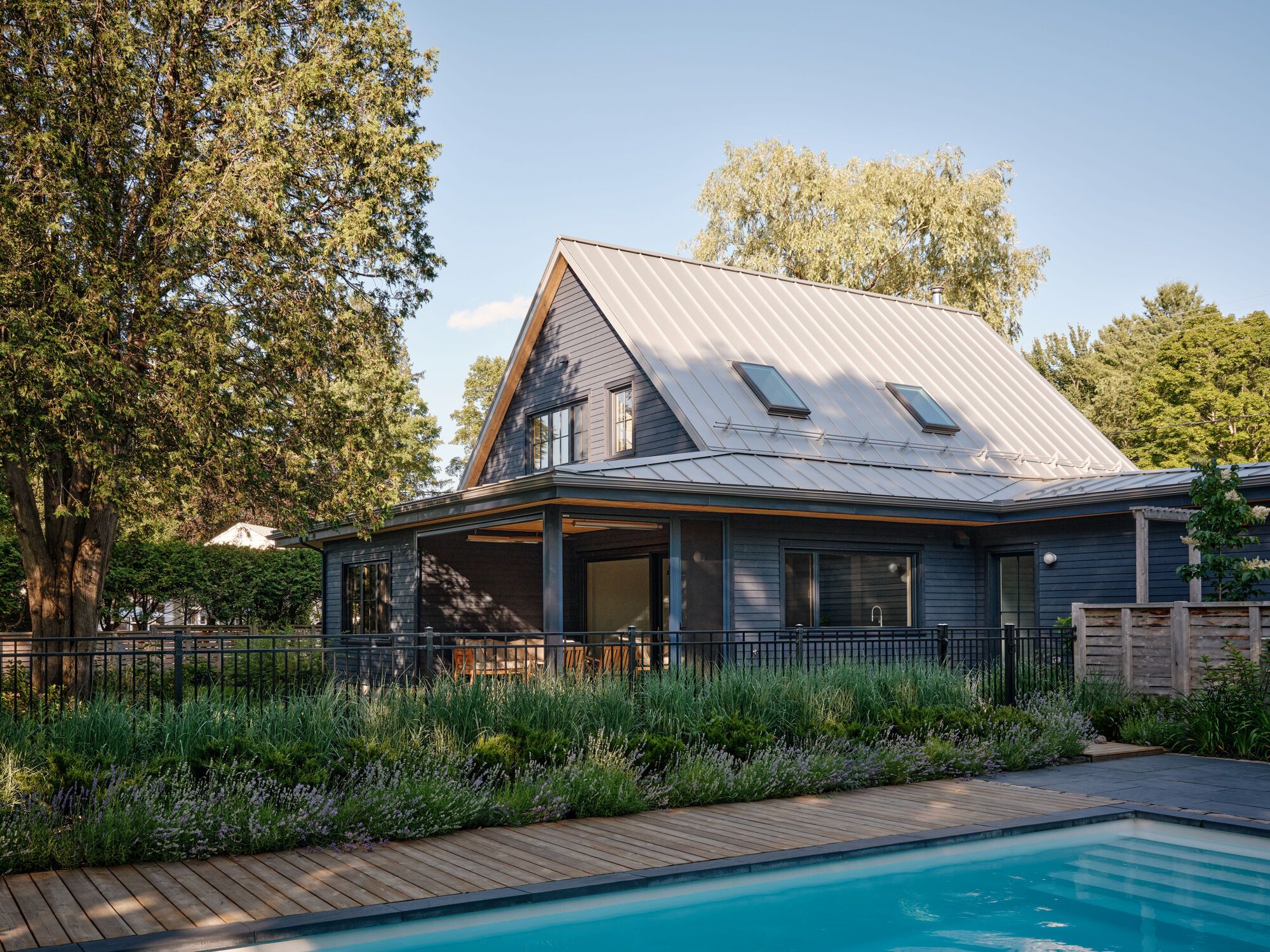 Rear elevation with standing seam metal roof and pool deck surrounded by ornamental grasses in afternoon light